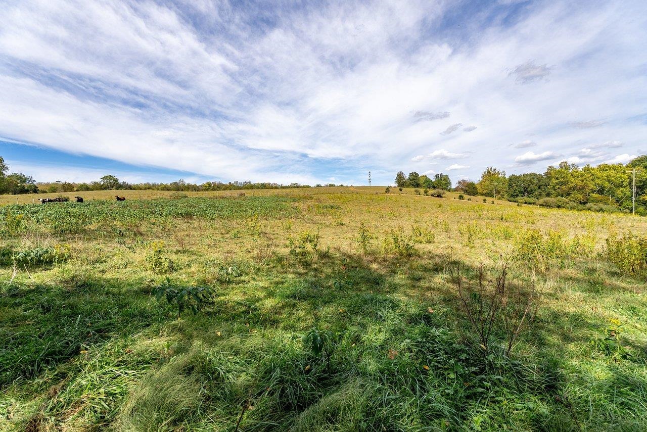TBD BUNKER HILL MILL RD, LEXINGTON, Virginia 24450, ,Land,TBD BUNKER HILL MILL RD,682621 MLS # 682621