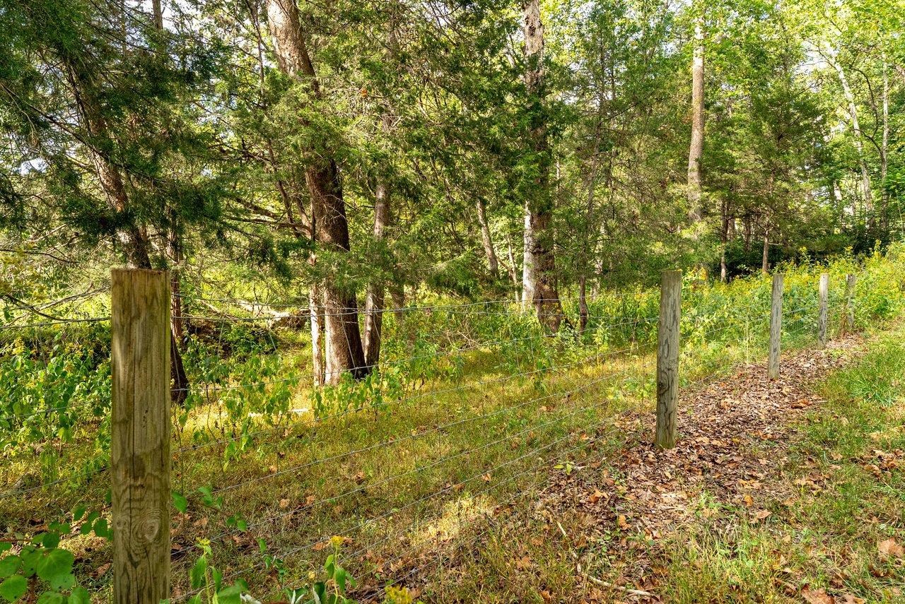 TBD BUNKER HILL MILL RD, LEXINGTON, Virginia 24450, ,Land,TBD BUNKER HILL MILL RD,682621 MLS # 682621