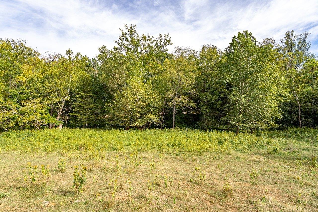 TBD BUNKER HILL MILL RD, LEXINGTON, Virginia 24450, ,Land,TBD BUNKER HILL MILL RD,682621 MLS # 682621