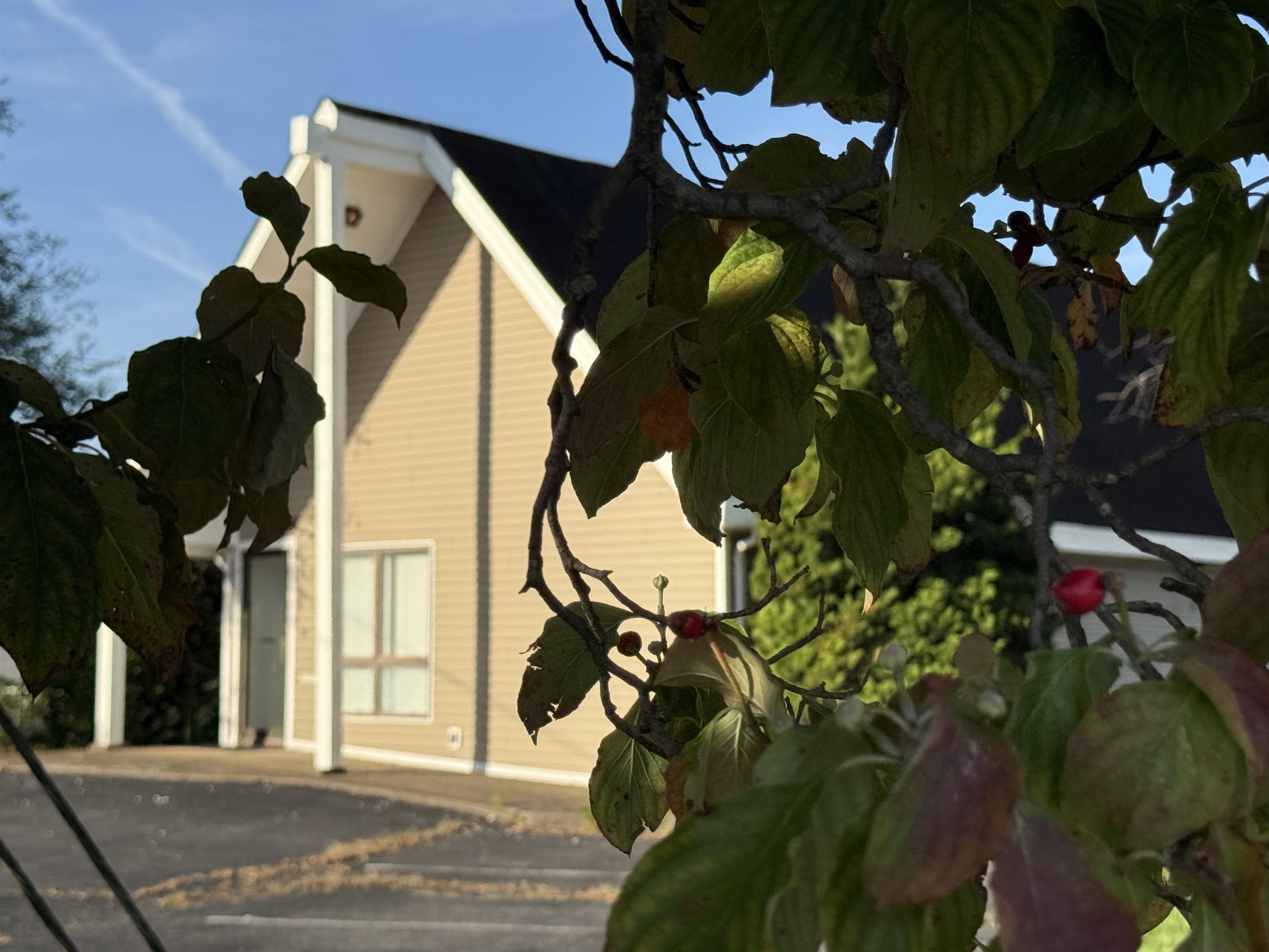 1115 IVY ST, WAYNESBORO, Virginia 22980, ,Commercial,1115 IVY ST,682620 MLS # 682620 1115 IVY ST, WAYNESBORO, Virginia 22980, ,Commercial,1115 IVY ST,682620 MLS # 682620