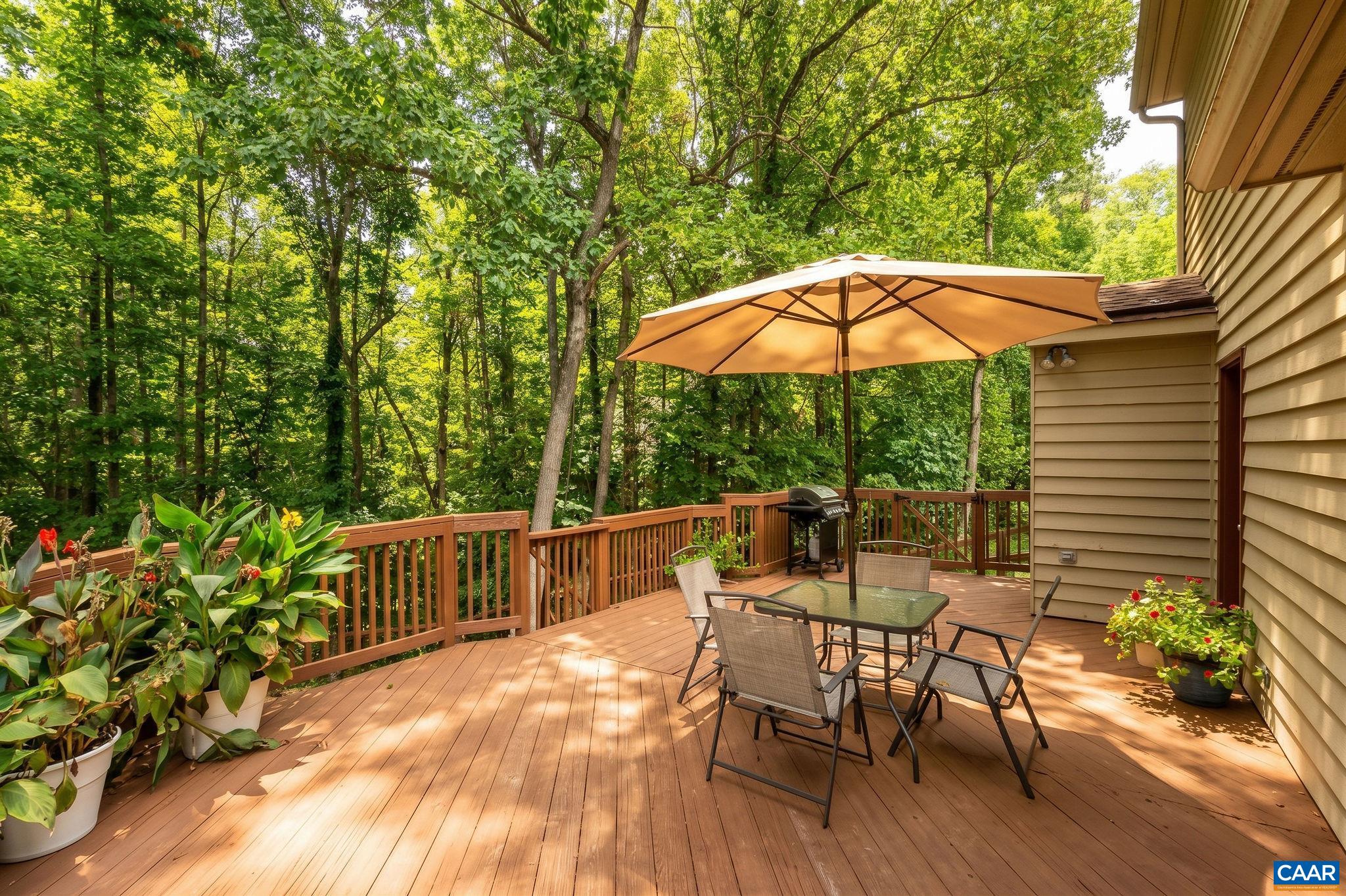220 HOMESTEAD LN, CHARLOTTESVILLE, Virginia 22902, 3 Bedrooms Bedrooms, ,2 BathroomsBathrooms,Residential,220 HOMESTEAD LN,682554 MLS # 682554 220 HOMESTEAD LN, CHARLOTTESVILLE, Virginia 22902, 3 Bedrooms Bedrooms, ,2 BathroomsBathrooms,Residential,220 HOMESTEAD LN,682554 MLS # 682554