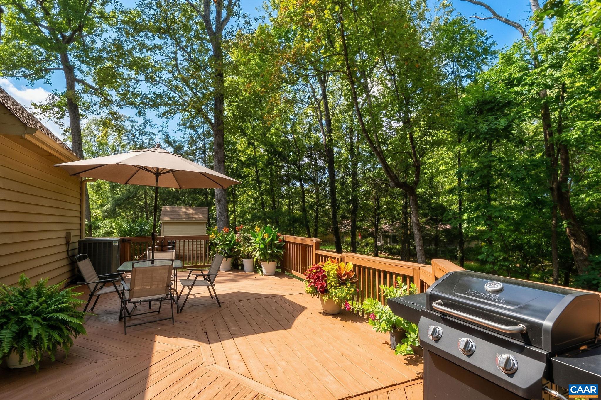 220 HOMESTEAD LN, CHARLOTTESVILLE, Virginia 22902, 3 Bedrooms Bedrooms, ,2 BathroomsBathrooms,Residential,220 HOMESTEAD LN,682554 MLS # 682554 220 HOMESTEAD LN, CHARLOTTESVILLE, Virginia 22902, 3 Bedrooms Bedrooms, ,2 BathroomsBathrooms,Residential,220 HOMESTEAD LN,682554 MLS # 682554