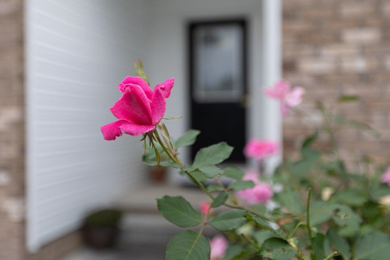 275 WINDERMERE DR, BROADWAY, Virginia 22815, 4 Bedrooms Bedrooms, ,3 BathroomsBathrooms,Residential,275 WINDERMERE DR,682613 MLS # 682613 275 WINDERMERE DR, BROADWAY, Virginia 22815, 4 Bedrooms Bedrooms, ,3 BathroomsBathrooms,Residential,275 WINDERMERE DR,682613 MLS # 682613