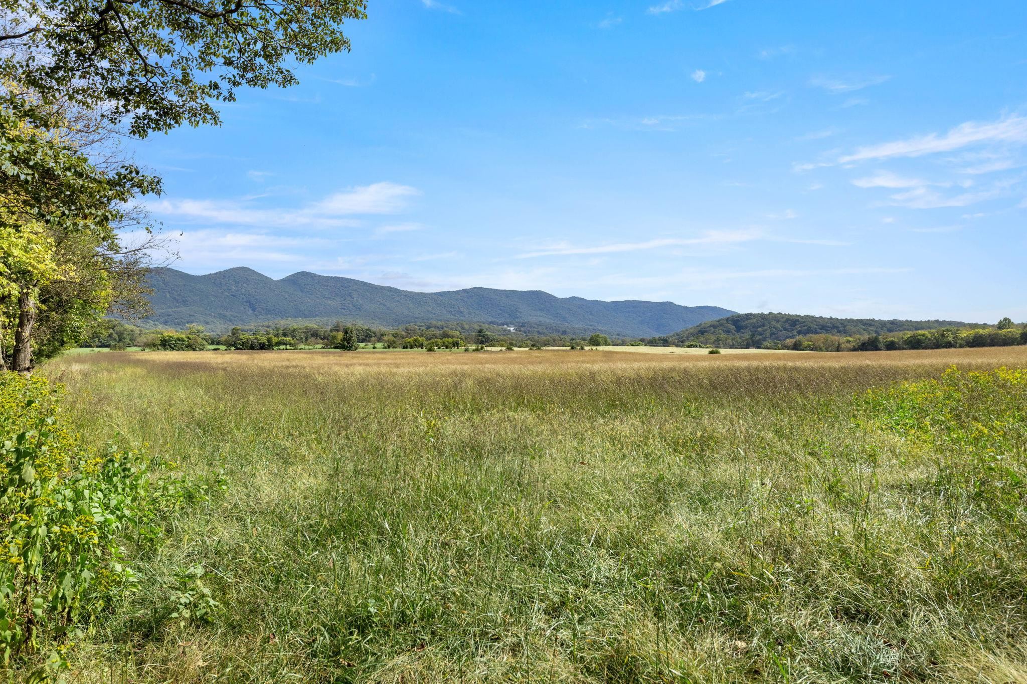 228 OLD FARMS RD, SHENANDOAH, Virginia 22849, 4 Bedrooms Bedrooms, ,2 BathroomsBathrooms,Residential,228 OLD FARMS RD,682615 MLS # 682615