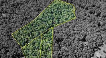 TBD JAMES RIVER RD, SCOTTSVILLE, Virginia 24590, ,Land,TBD JAMES RIVER RD,682640 MLS # 682640