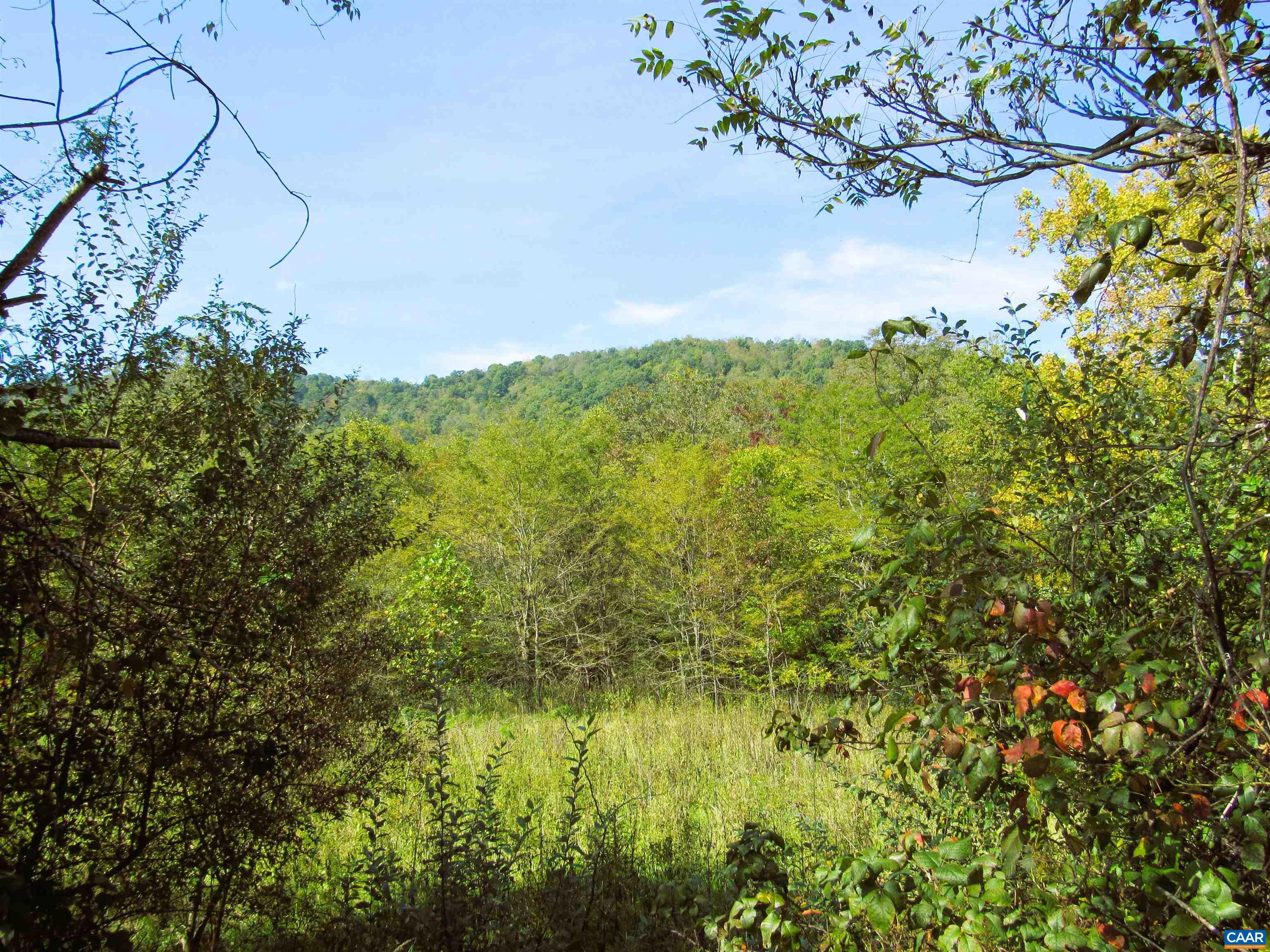 FORTUNES COVE LN, LOVINGSTON, Virginia 22949, ,Farm,FORTUNES COVE LN,682654 MLS # 682654