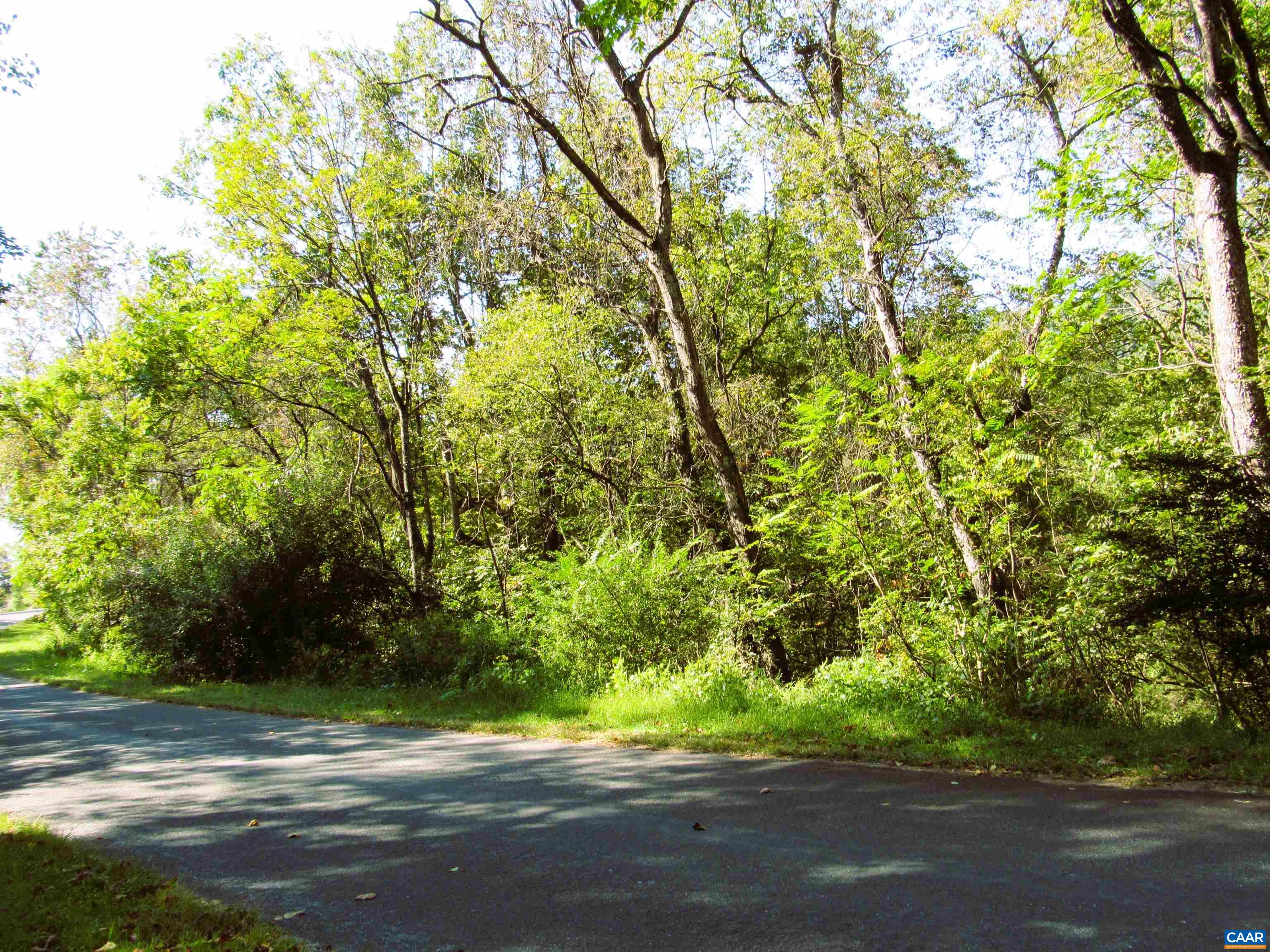 FORTUNES COVE LN, LOVINGSTON, Virginia 22949, ,Farm,FORTUNES COVE LN,682654 MLS # 682654