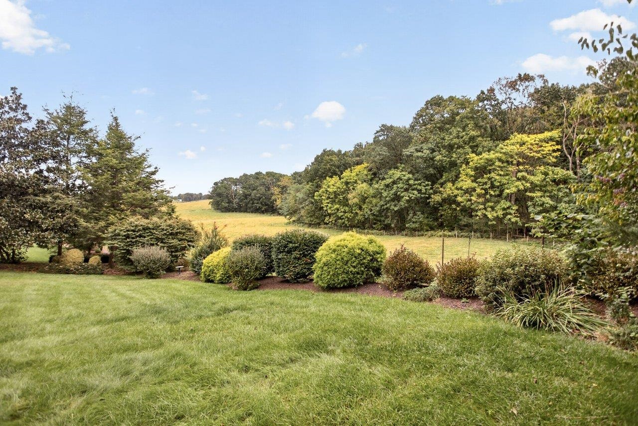 City living with a pastoral view