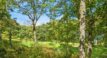 911 DEVILS KNOB LOOP, WINTERGREEN RESORT, Virginia 22967, 4 Bedrooms Bedrooms, ,3 BathroomsBathrooms,Residential,911 DEVILS KNOB LOOP,682638 MLS # 682638