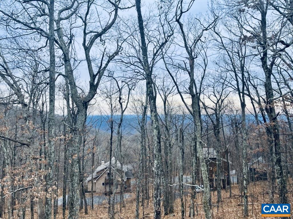 620 WHITE OAK CONDOS, WINTERGREEN RESORT, Virginia 22967, 2 Bedrooms Bedrooms, ,2 BathroomsBathrooms,Residential,Woolly Bull Chateau,620 WHITE OAK CONDOS,682653 MLS # 682653