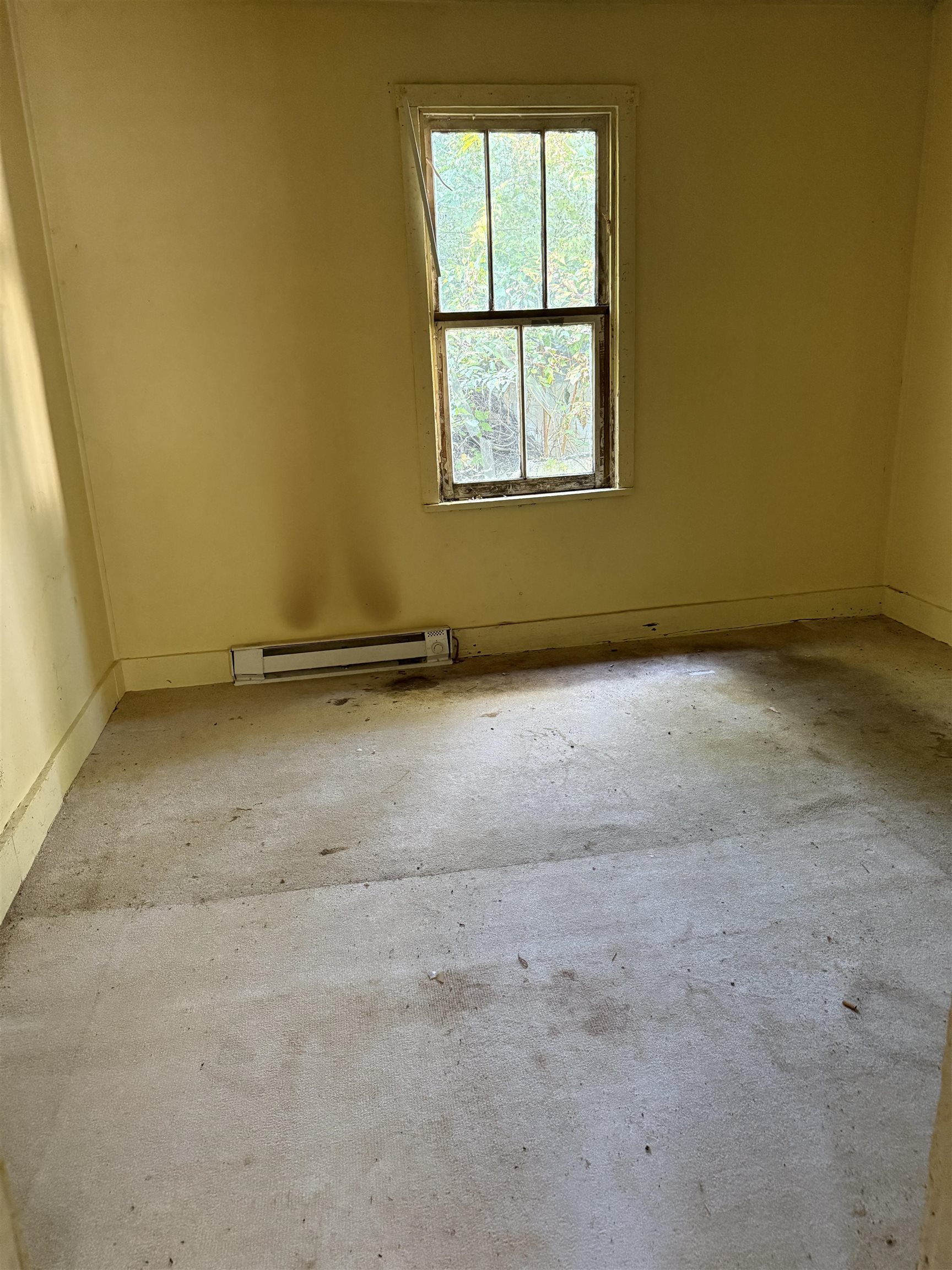 9030 BROCKS GAP RD, FULKS RUN, Virginia 22830, 3 Bedrooms Bedrooms, ,1 BathroomBathrooms,Residential,9030 BROCKS GAP RD,682657 MLS # 682657 9030 BROCKS GAP RD, FULKS RUN, Virginia 22830, 3 Bedrooms Bedrooms, ,1 BathroomBathrooms,Residential,9030 BROCKS GAP RD,682657 MLS # 682657