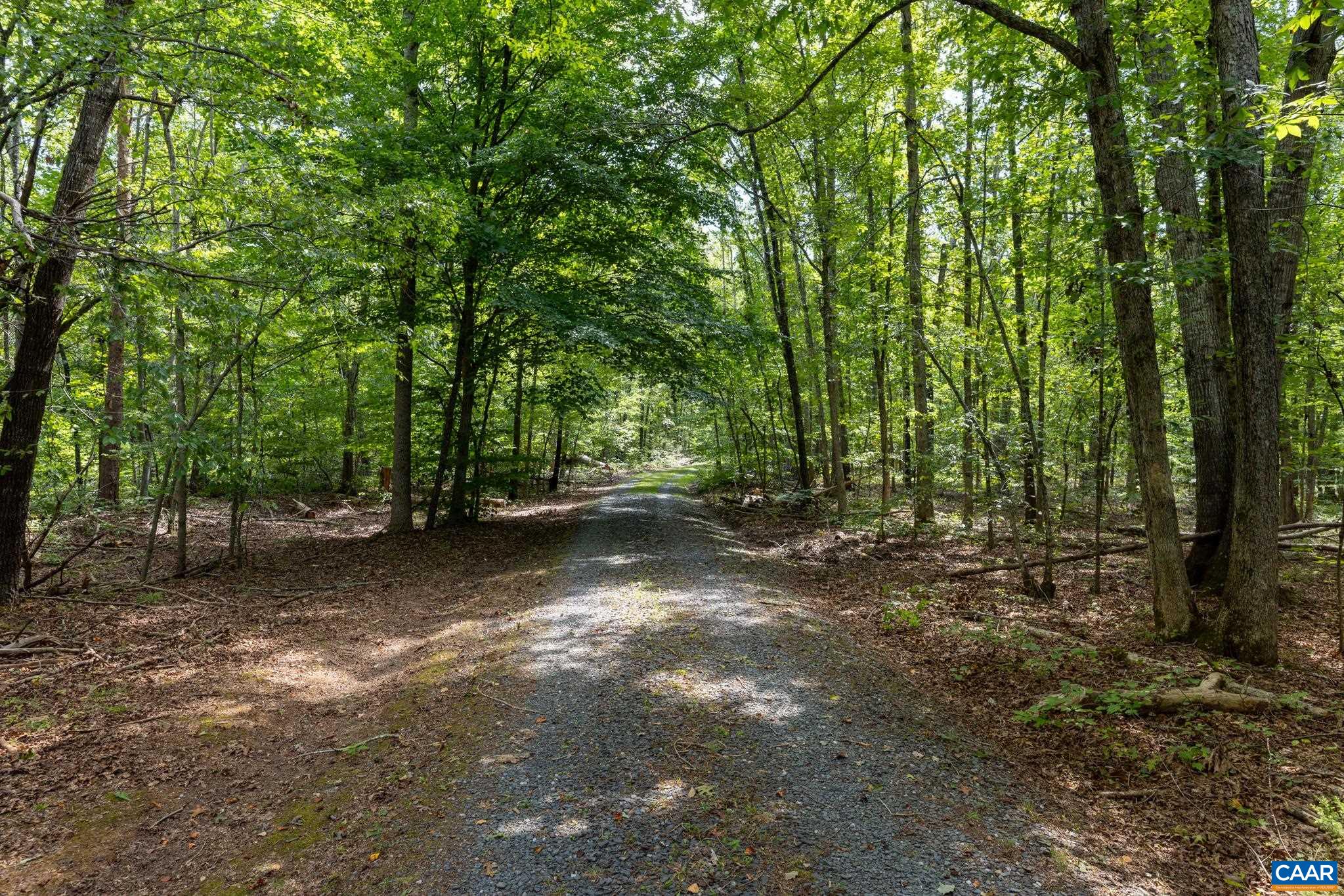 323 PEACEFUL LN, PALMYRA, Virginia 22963, 3 Bedrooms Bedrooms, ,2 BathroomsBathrooms,Residential,Beechwood,323 PEACEFUL LN,682659 MLS # 682659 323 PEACEFUL LN, PALMYRA, Virginia 22963, 3 Bedrooms Bedrooms, ,2 BathroomsBathrooms,Residential,Beechwood,323 PEACEFUL LN,682659 MLS # 682659