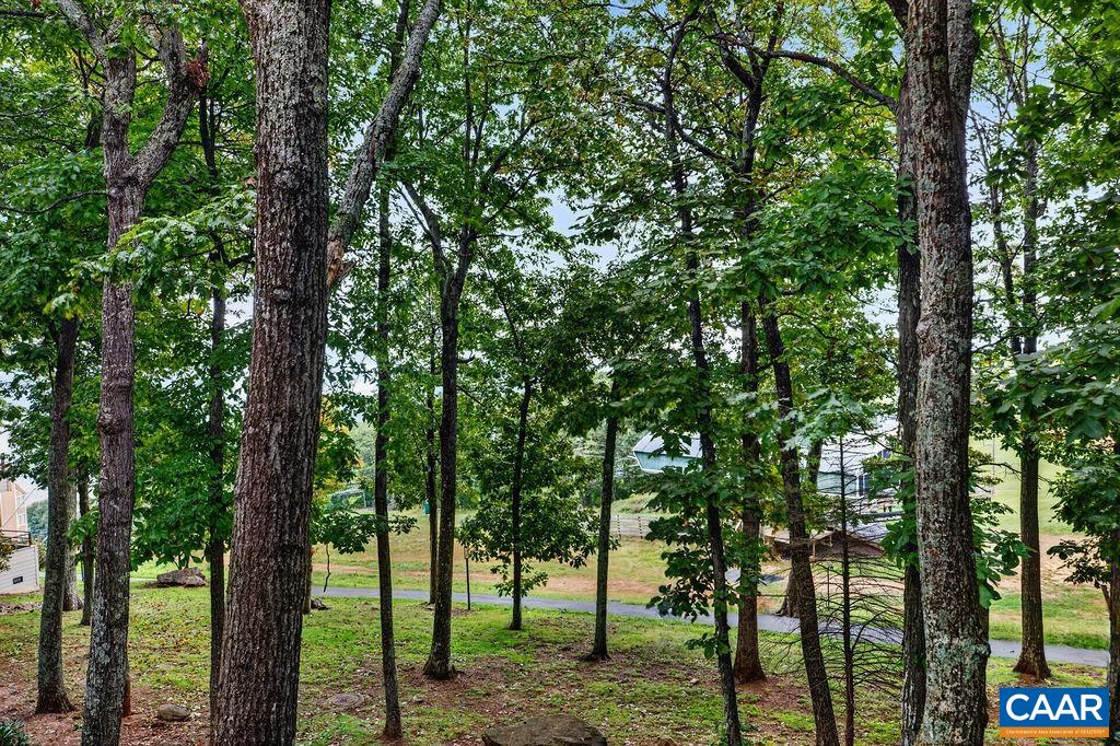 332 DOBIE CONDOS, WINTERGREEN, Virginia 22967, 2 Bedrooms Bedrooms, ,2 BathroomsBathrooms,Residential,332 DOBIE CONDOS,682509 MLS # 682509