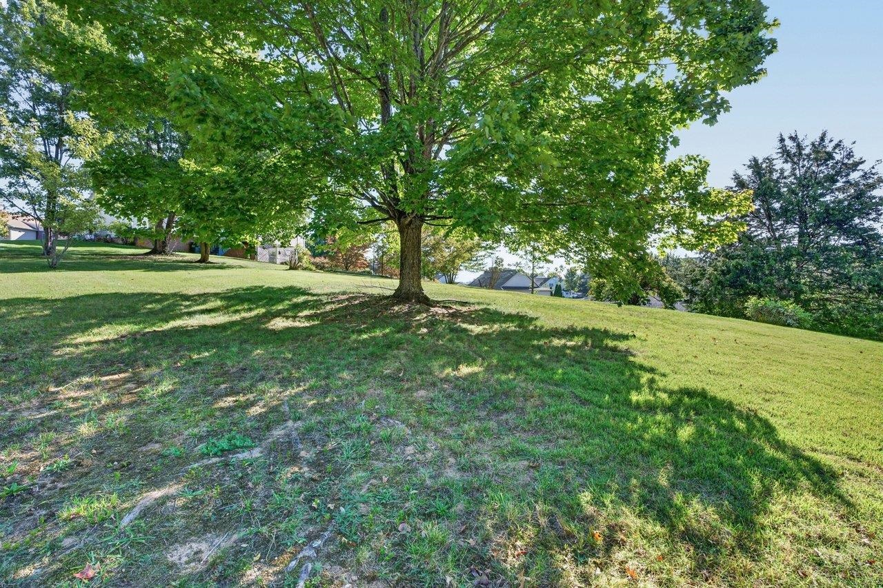 15 MARIE CT, FISHERSVILLE, Virginia 22939, 4 Bedrooms Bedrooms, ,2 BathroomsBathrooms,Residential,15 MARIE CT,682667 MLS # 682667