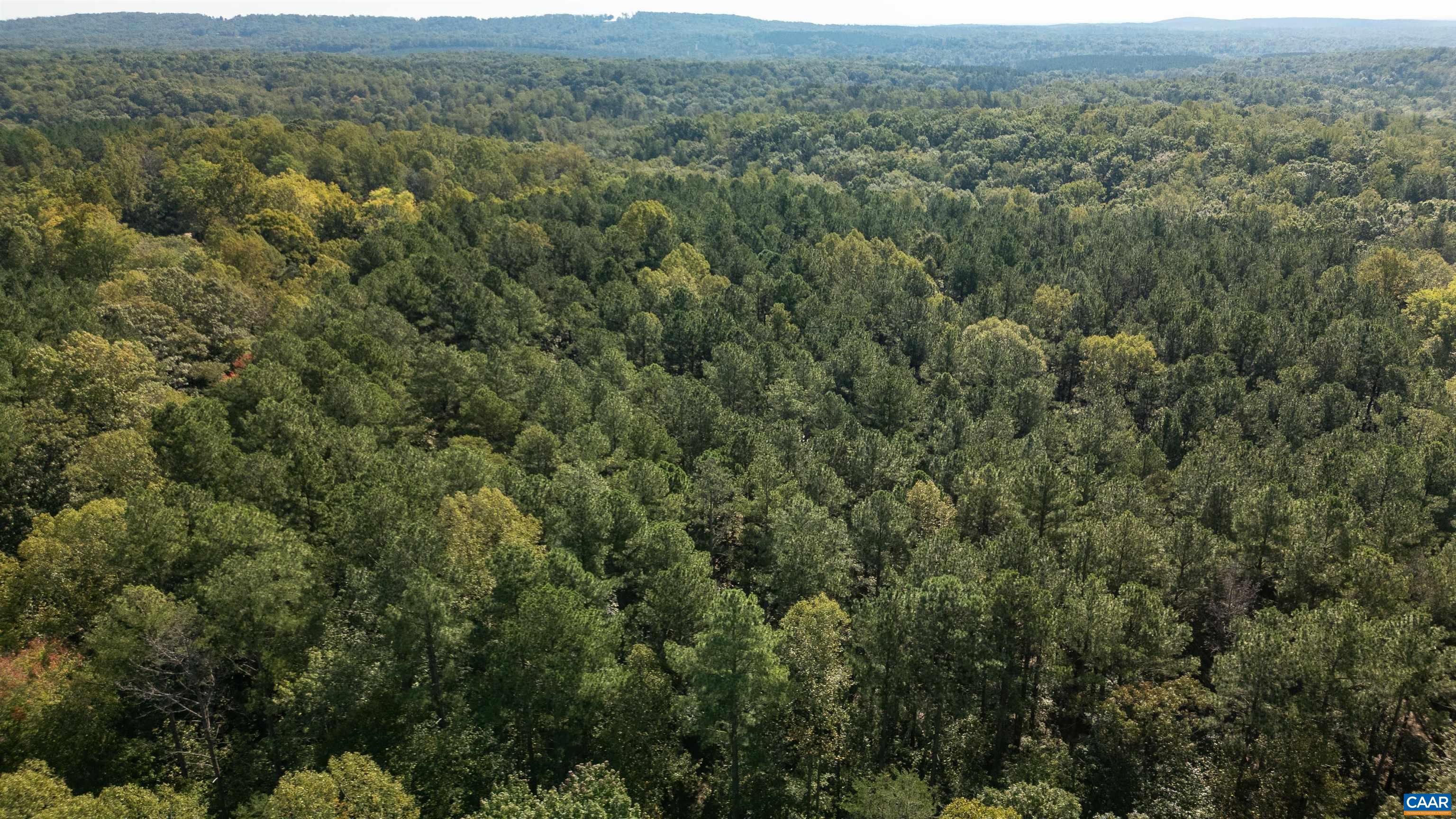 0 GREEN CREEK RD, SCHUYLER, Virginia 22969, ,Land,0 GREEN CREEK RD,682695 MLS # 682695