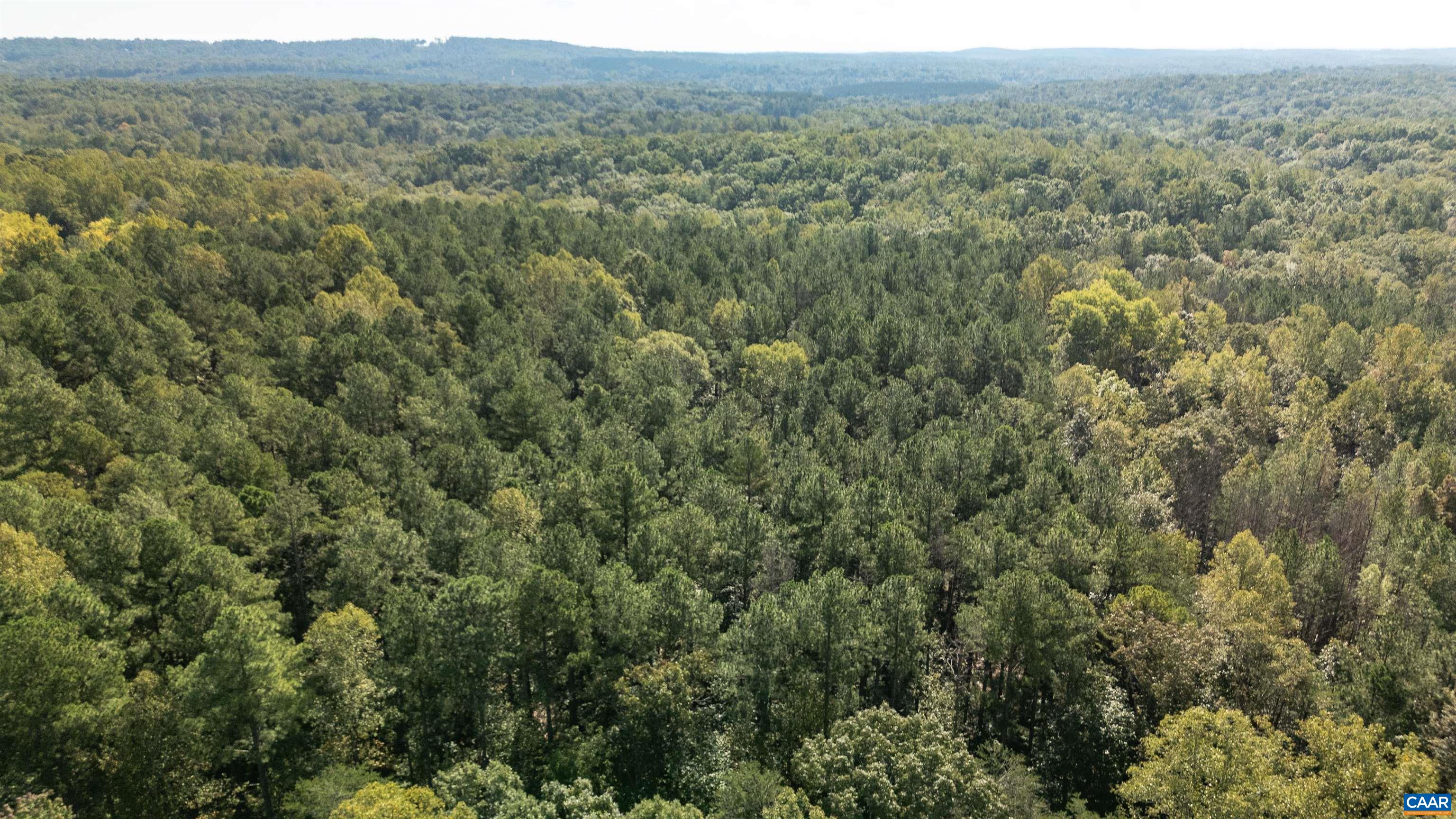 0 GREEN CREEK RD, SCHUYLER, Virginia 22969, ,Land,0 GREEN CREEK RD,682695 MLS # 682695