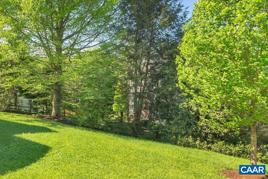 Backyard.