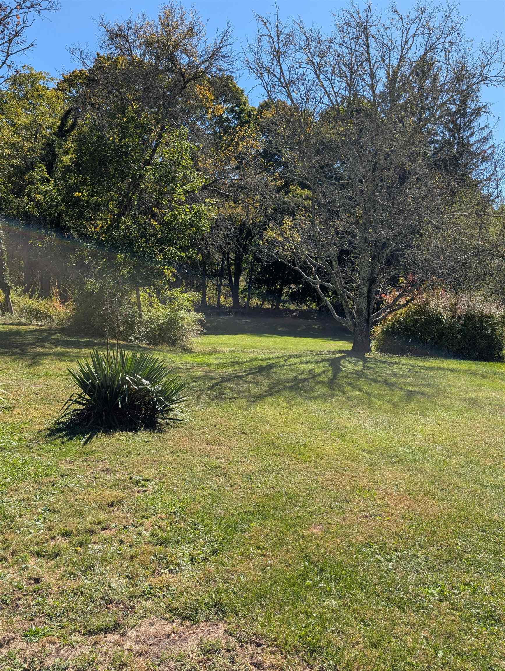 41 LAKE VIEW DR, BACOVA, Virginia 24412, 4 Bedrooms Bedrooms, ,2 BathroomsBathrooms,Residential,Bacova Riner,41 LAKE VIEW DR,682717 MLS # 682717 41 LAKE VIEW DR, BACOVA, Virginia 24412, 4 Bedrooms Bedrooms, ,2 BathroomsBathrooms,Residential,Bacova Riner,41 LAKE VIEW DR,682717 MLS # 682717