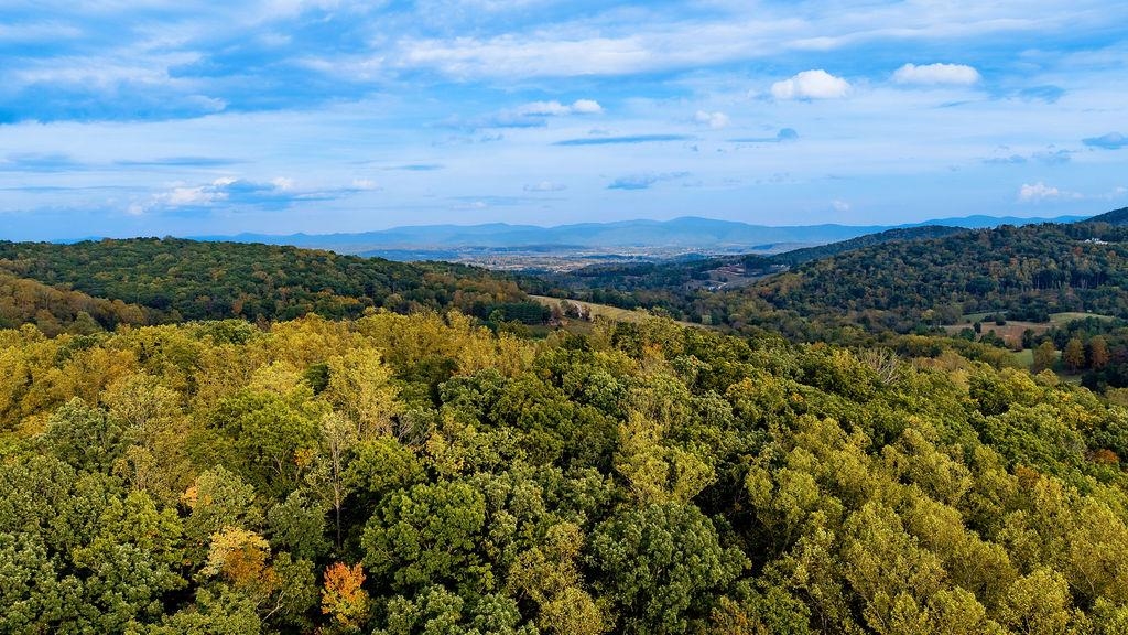 1755 STILL HOUSE DR, LEXINGTON, Virginia 24450, 3 Bedrooms Bedrooms, ,3 BathroomsBathrooms,Residential,1755 STILL HOUSE DR,682725 MLS # 682725