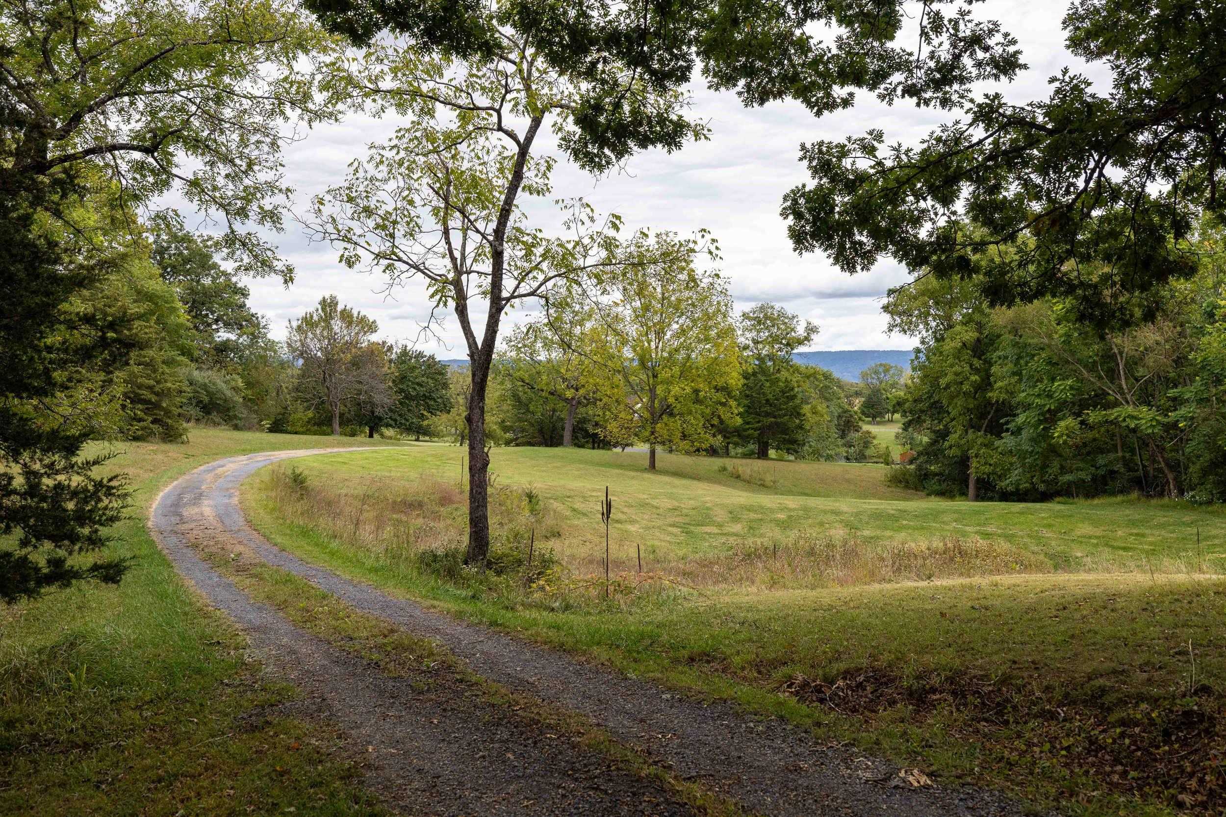 107 FAIRVIEW CIR, WOODSTOCK, Virginia 22664, 3 Bedrooms Bedrooms, ,3 BathroomsBathrooms,Residential,107 FAIRVIEW CIR,682735 MLS # 682735 107 FAIRVIEW CIR, WOODSTOCK, Virginia 22664, 3 Bedrooms Bedrooms, ,3 BathroomsBathrooms,Residential,107 FAIRVIEW CIR,682735 MLS # 682735