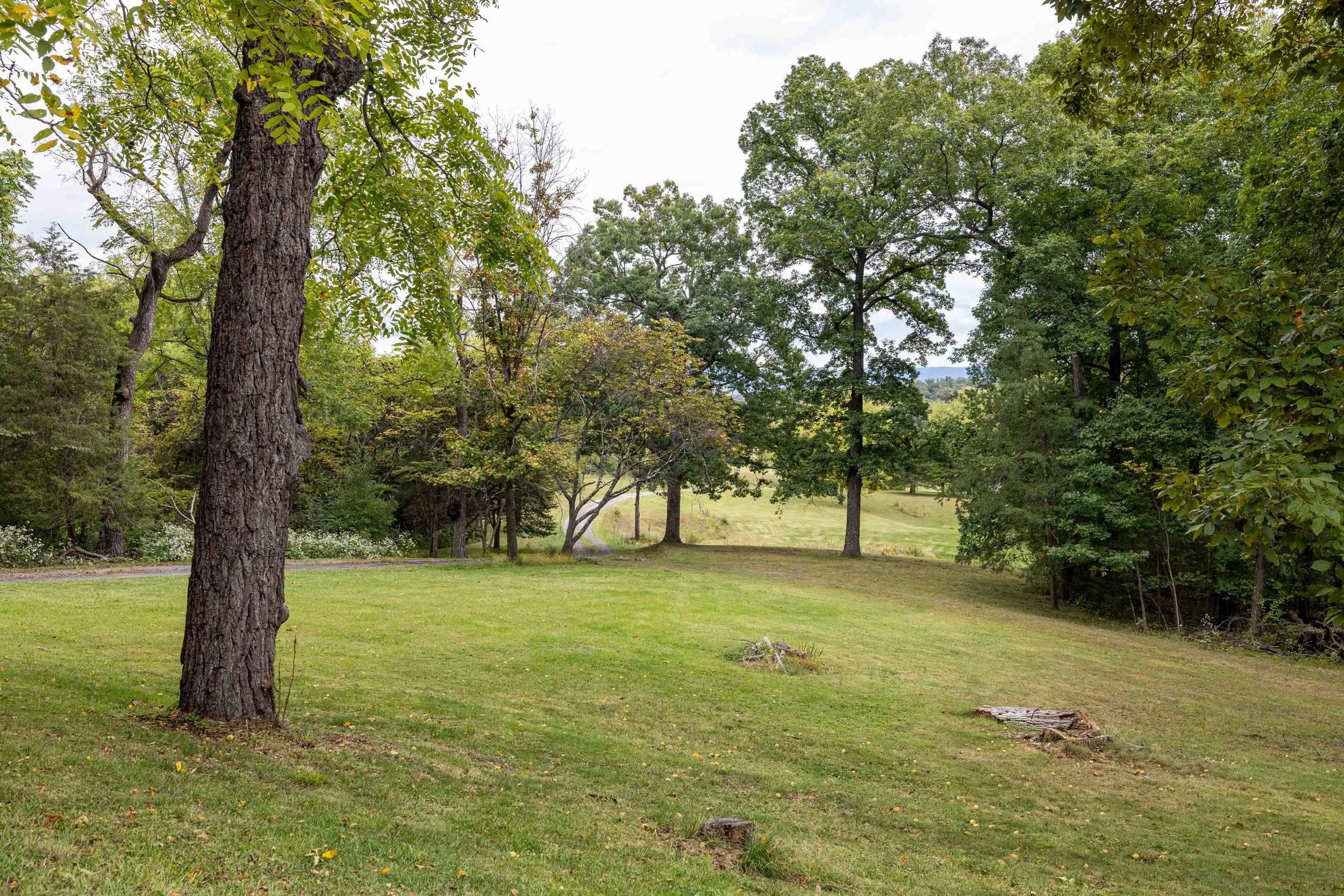 107 FAIRVIEW CIR, WOODSTOCK, Virginia 22664, 3 Bedrooms Bedrooms, ,3 BathroomsBathrooms,Residential,107 FAIRVIEW CIR,682735 MLS # 682735 107 FAIRVIEW CIR, WOODSTOCK, Virginia 22664, 3 Bedrooms Bedrooms, ,3 BathroomsBathrooms,Residential,107 FAIRVIEW CIR,682735 MLS # 682735