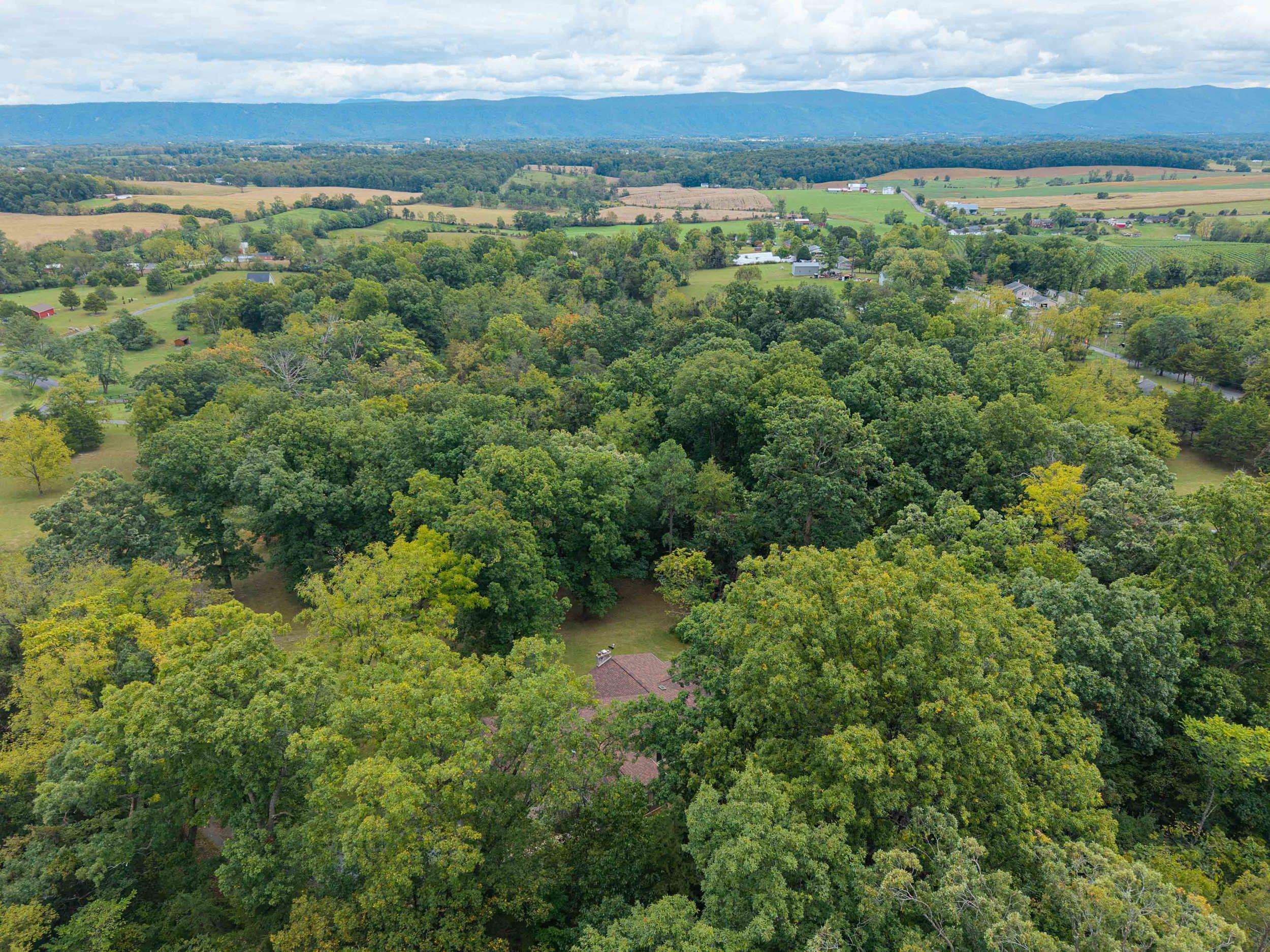 107 FAIRVIEW CIR, WOODSTOCK, Virginia 22664, 3 Bedrooms Bedrooms, ,3 BathroomsBathrooms,Residential,107 FAIRVIEW CIR,682735 MLS # 682735 107 FAIRVIEW CIR, WOODSTOCK, Virginia 22664, 3 Bedrooms Bedrooms, ,3 BathroomsBathrooms,Residential,107 FAIRVIEW CIR,682735 MLS # 682735