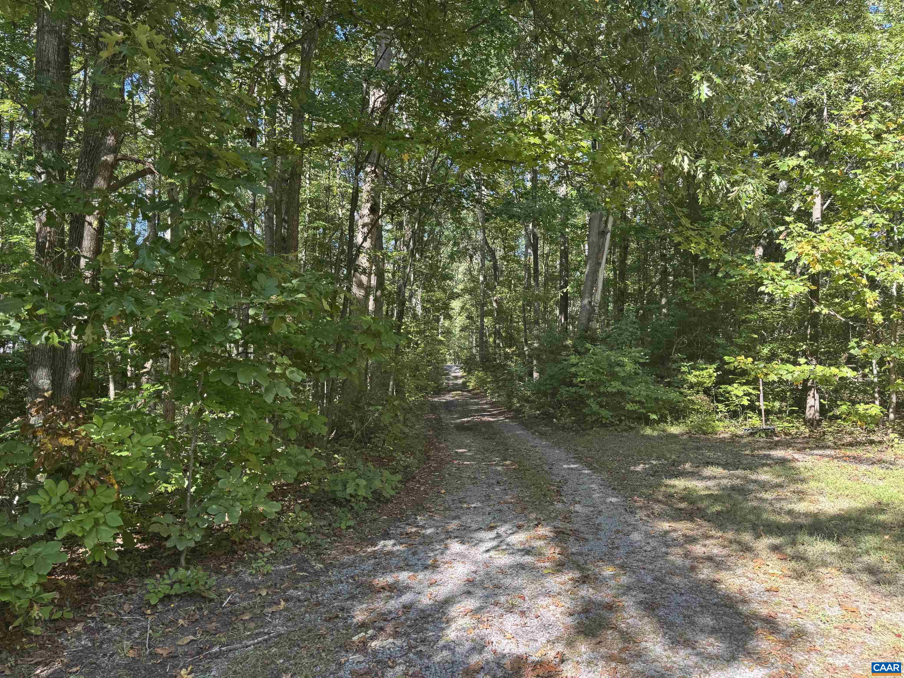 4591 OLD FREDERICKSBURG RD, MINERAL, Virginia 23117, 3 Bedrooms Bedrooms, ,2 BathroomsBathrooms,Residential,4591 OLD FREDERICKSBURG RD,682706 MLS # 682706 4591 OLD FREDERICKSBURG RD, MINERAL, Virginia 23117, 3 Bedrooms Bedrooms, ,2 BathroomsBathrooms,Residential,4591 OLD FREDERICKSBURG RD,682706 MLS # 682706