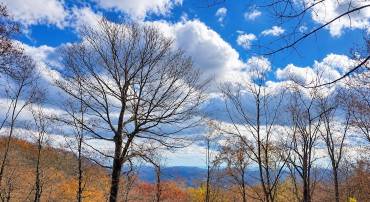 54 FIRTREE DR, WINTERGREEN, Virginia 22967, 3 Bedrooms Bedrooms, ,2 BathroomsBathrooms,Residential,54 FIRTREE DR,682758 MLS # 682758
