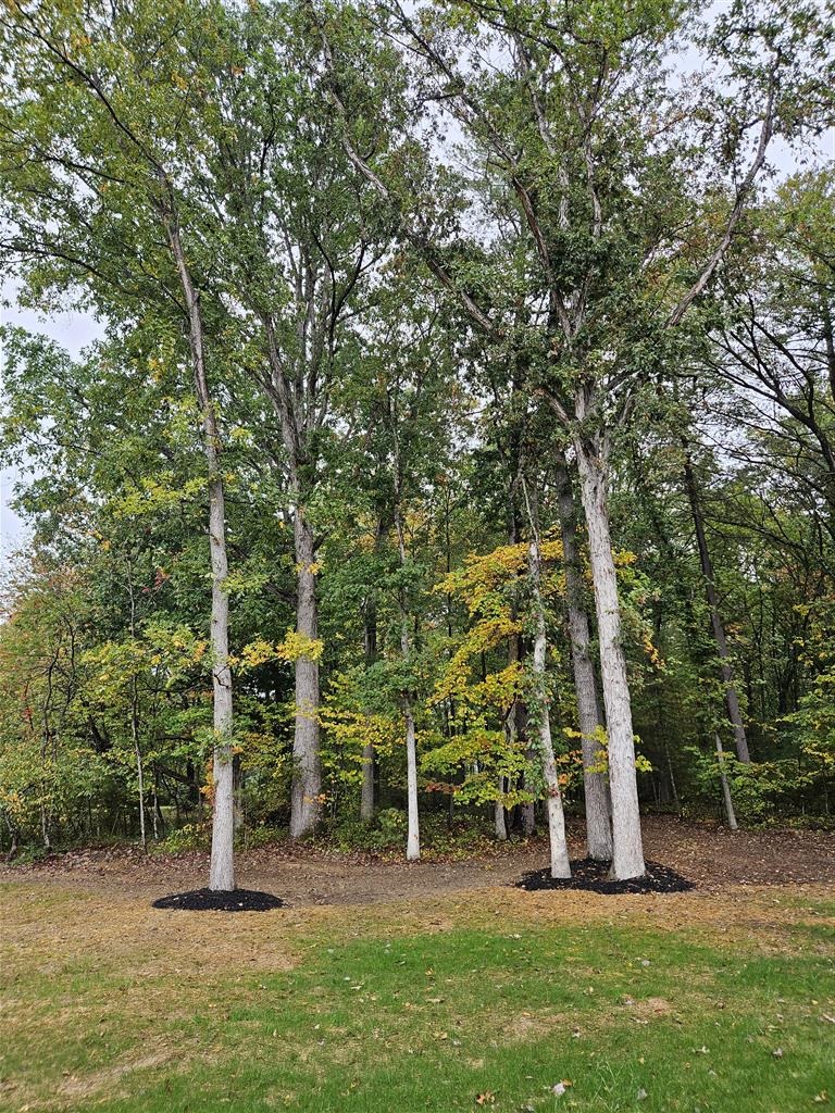 74 EVERGREEN CT, GROTTOES, Virginia 24421, 3 Bedrooms Bedrooms, ,2 BathroomsBathrooms,Residential,74 EVERGREEN CT,682765 MLS # 682765