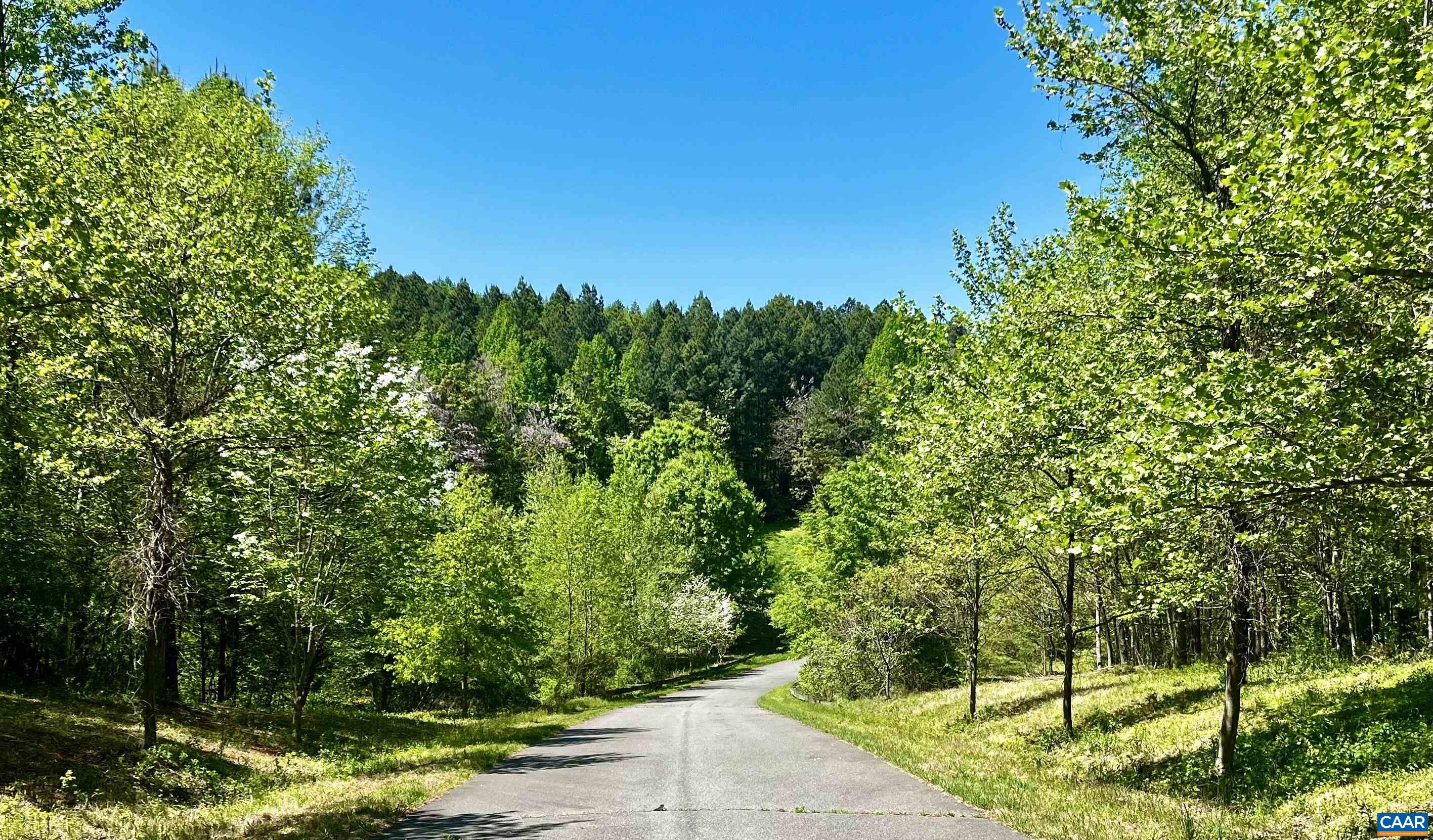 Lot H COOPERS LN, CHARLOTTESVILLE, Virginia 22902, ,Land,Lot H COOPERS LN,682490 MLS # 682490 Lot H COOPERS LN, CHARLOTTESVILLE, Virginia 22902, ,Land,Lot H COOPERS LN,682490 MLS # 682490