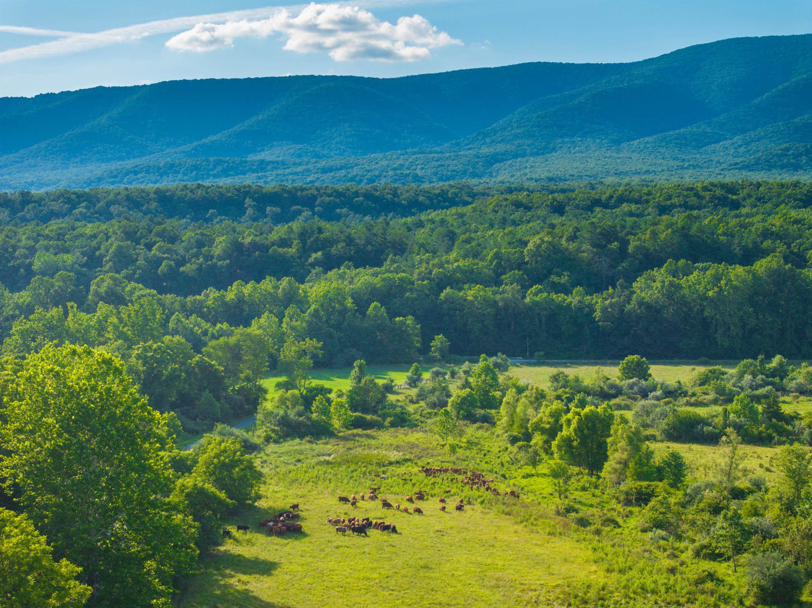 2276 LITTLE CALF PASTURE HWY, SWOOPE, Virginia 24479, 5 Bedrooms Bedrooms, ,3 BathroomsBathrooms,Residential,2276 LITTLE CALF PASTURE HWY,682794 MLS # 682794 2276 LITTLE CALF PASTURE HWY, SWOOPE, Virginia 24479, 5 Bedrooms Bedrooms, ,3 BathroomsBathrooms,Residential,2276 LITTLE CALF PASTURE HWY,682794 MLS # 682794