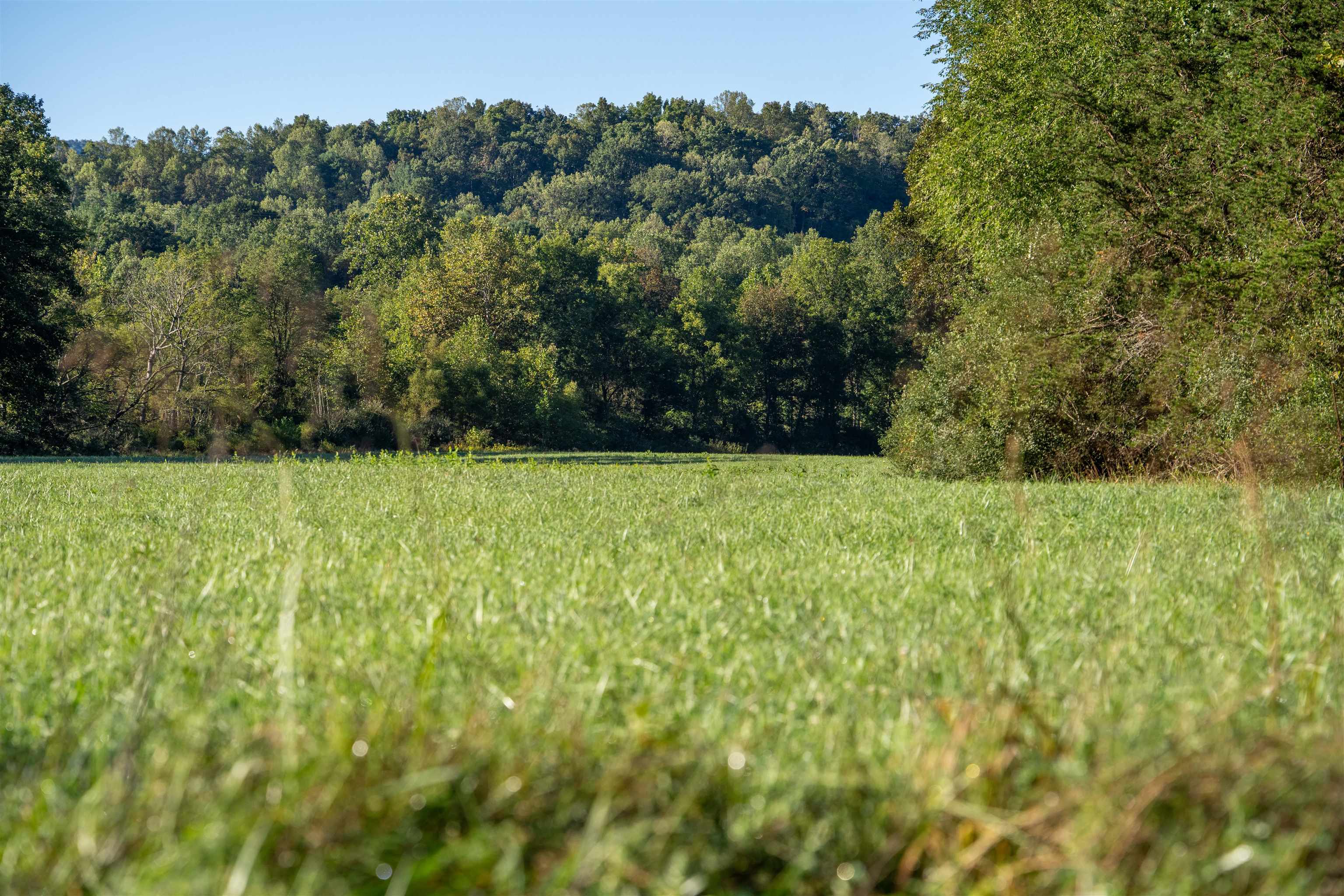 2276 LITTLE CALF PASTURE HWY, SWOOPE, Virginia 24479, 5 Bedrooms Bedrooms, ,3 BathroomsBathrooms,Residential,2276 LITTLE CALF PASTURE HWY,682794 MLS # 682794 2276 LITTLE CALF PASTURE HWY, SWOOPE, Virginia 24479, 5 Bedrooms Bedrooms, ,3 BathroomsBathrooms,Residential,2276 LITTLE CALF PASTURE HWY,682794 MLS # 682794