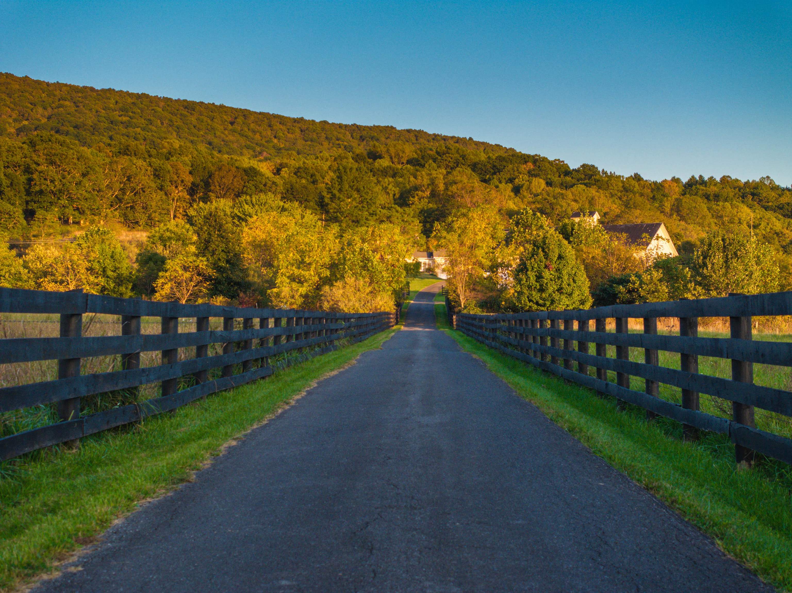 2276 LITTLE CALF PASTURE HWY, SWOOPE, Virginia 24479, 5 Bedrooms Bedrooms, ,3 BathroomsBathrooms,Residential,2276 LITTLE CALF PASTURE HWY,682794 MLS # 682794 2276 LITTLE CALF PASTURE HWY, SWOOPE, Virginia 24479, 5 Bedrooms Bedrooms, ,3 BathroomsBathrooms,Residential,2276 LITTLE CALF PASTURE HWY,682794 MLS # 682794