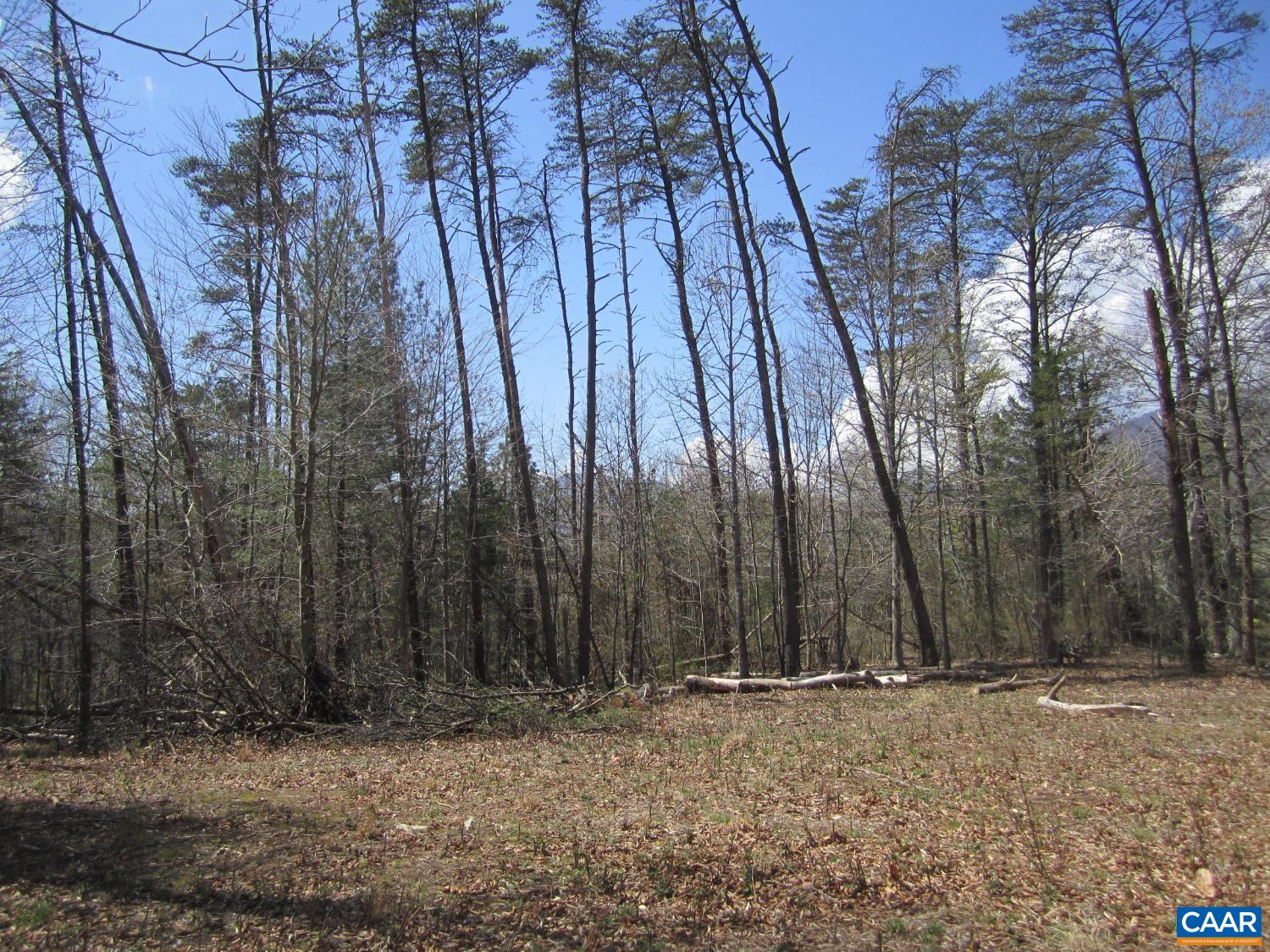 5 LOGAN PL, NELLYSFORD, Virginia 22958, ,Land,5 LOGAN PL,682833 MLS # 682833
