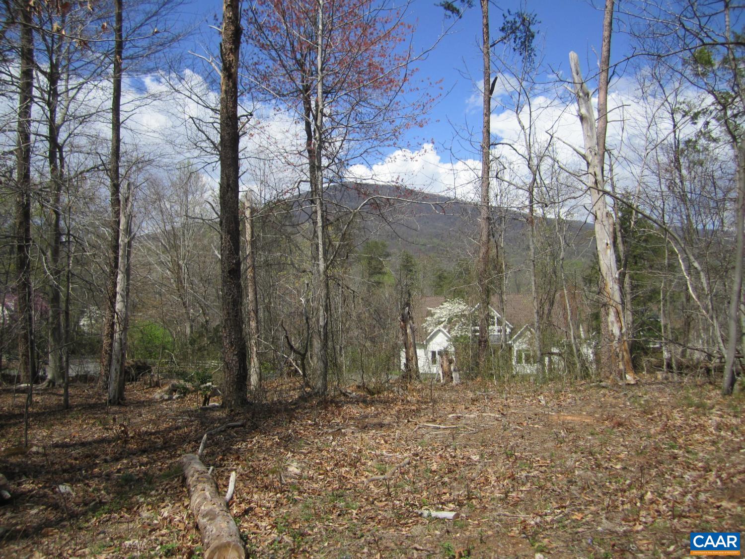 5 LOGAN PL, NELLYSFORD, Virginia 22958, ,Land,5 LOGAN PL,682833 MLS # 682833 5 LOGAN PL, NELLYSFORD, Virginia 22958, ,Land,5 LOGAN PL,682833 MLS # 682833