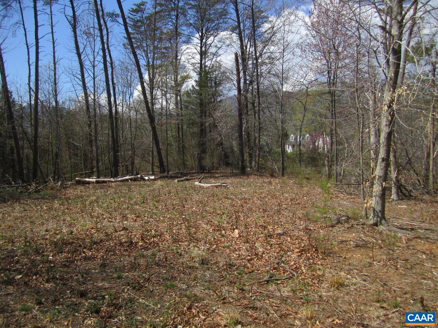 5 LOGAN PL, NELLYSFORD, Virginia 22958, ,Land,5 LOGAN PL,682833 MLS # 682833 5 LOGAN PL, NELLYSFORD, Virginia 22958, ,Land,5 LOGAN PL,682833 MLS # 682833
