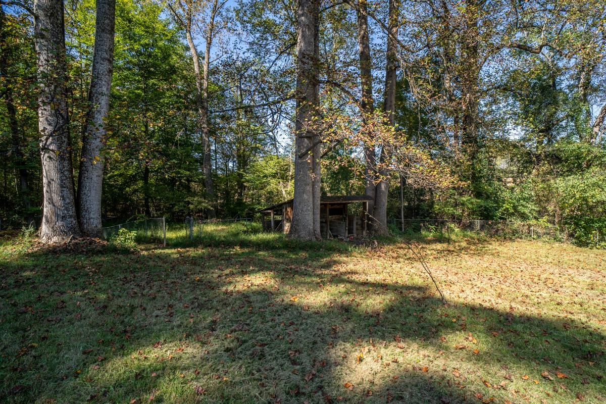 139 THOMAS CT, RUCKERSVILLE, Virginia 22968, 2 Bedrooms Bedrooms, ,1 BathroomBathrooms,Residential,139 THOMAS CT,682849 MLS # 682849 139 THOMAS CT, RUCKERSVILLE, Virginia 22968, 2 Bedrooms Bedrooms, ,1 BathroomBathrooms,Residential,139 THOMAS CT,682849 MLS # 682849