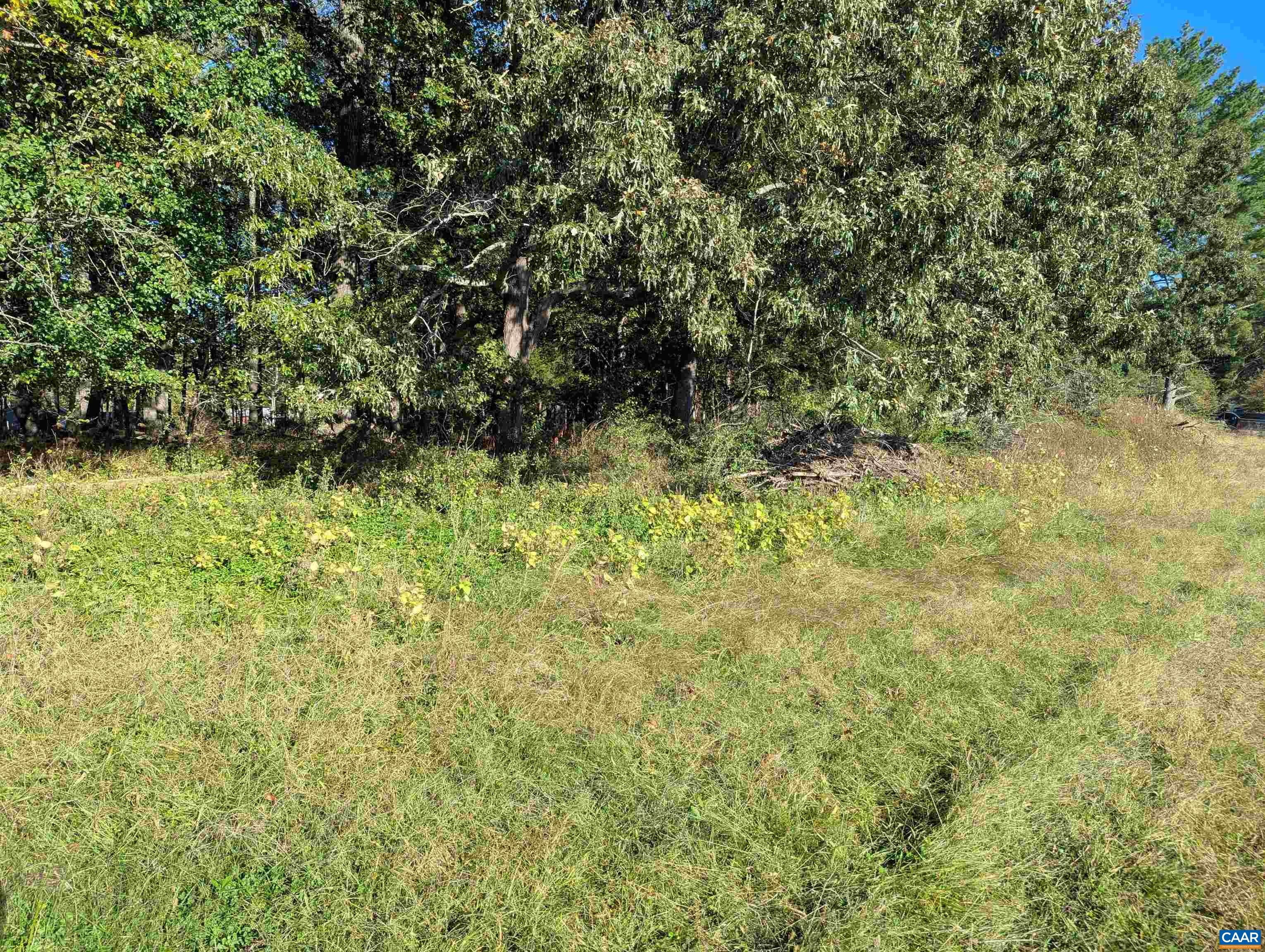 Lot 1 ADVANCE MILLS RD, RUCKERSVILLE, Virginia 22968, 4 Bedrooms Bedrooms, ,3 BathroomsBathrooms,Residential,Lot 1 ADVANCE MILLS RD,682850 MLS # 682850
