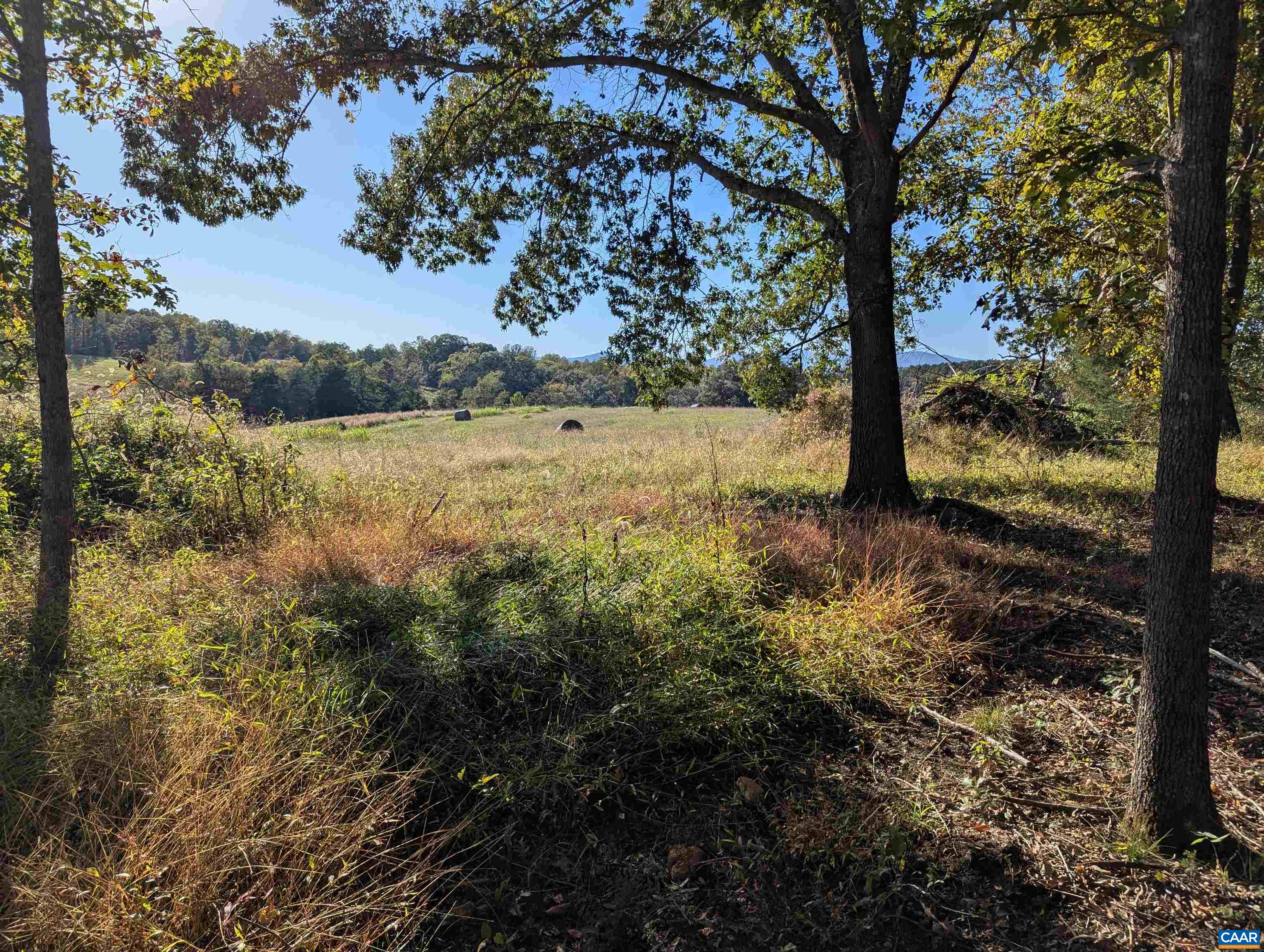 Lot 1 ADVANCE MILLS RD, RUCKERSVILLE, Virginia 22968, 4 Bedrooms Bedrooms, ,3 BathroomsBathrooms,Residential,Lot 1 ADVANCE MILLS RD,682850 MLS # 682850