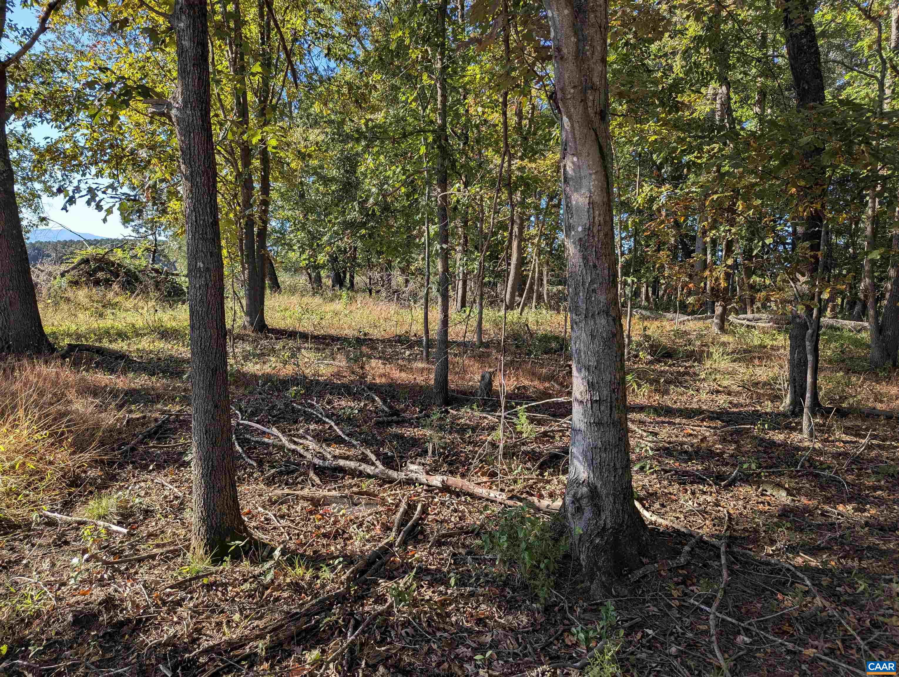 Lot 1 ADVANCE MILLS RD, RUCKERSVILLE, Virginia 22968, 4 Bedrooms Bedrooms, ,3 BathroomsBathrooms,Residential,Lot 1 ADVANCE MILLS RD,682850 MLS # 682850