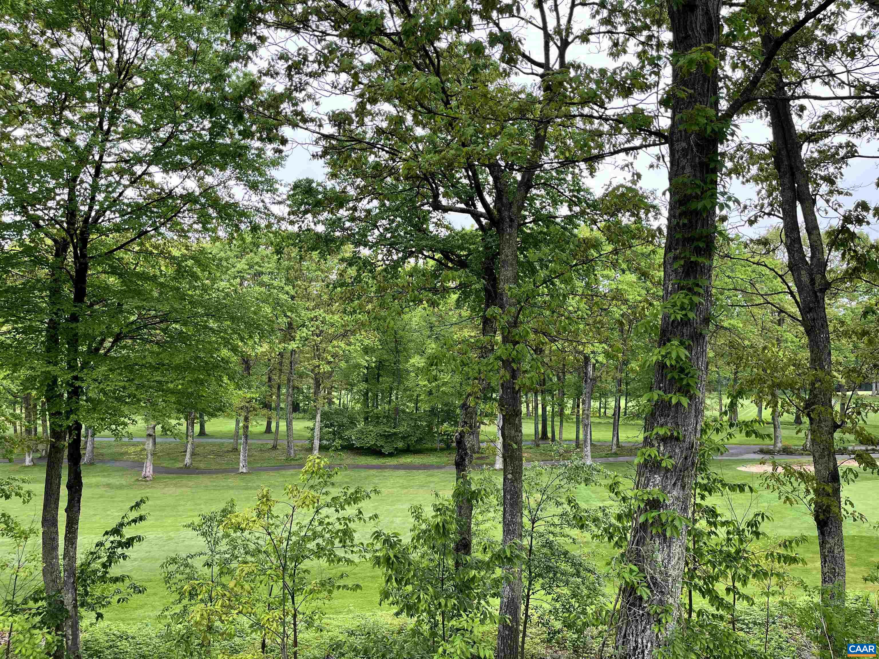2052 STONE RIDGE CONDOS, WINTERGREEN RESORT, Virginia 22967, 1 Bedroom Bedrooms, ,1 BathroomBathrooms,Residential,2052 STONE RIDGE CONDOS,654686 MLS # 654686 2052 STONE RIDGE CONDOS, WINTERGREEN RESORT, Virginia 22967, 1 Bedroom Bedrooms, ,1 BathroomBathrooms,Residential,2052 STONE RIDGE CONDOS,654686 MLS # 654686