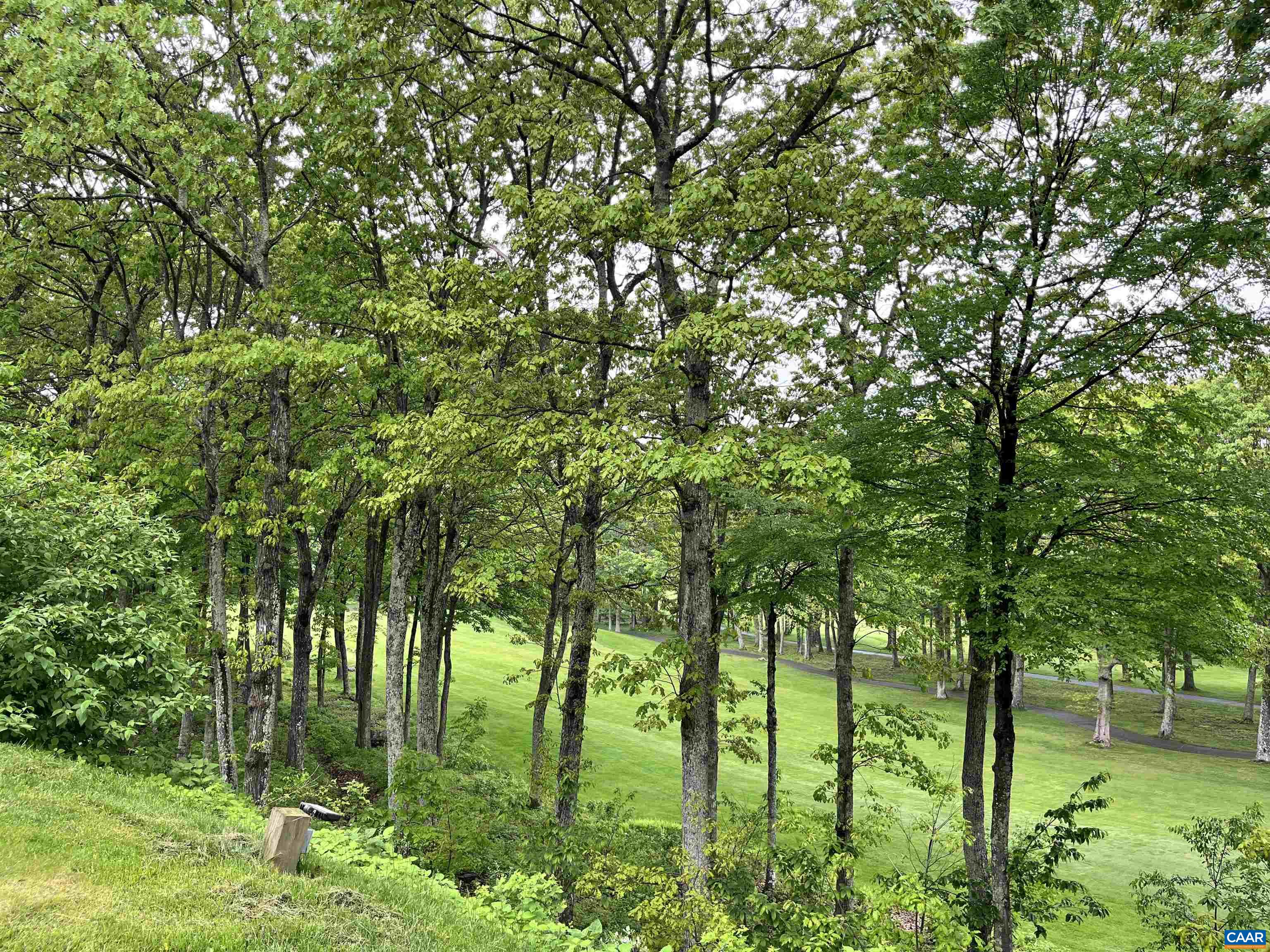 2052 STONE RIDGE CONDOS, WINTERGREEN RESORT, Virginia 22967, 1 Bedroom Bedrooms, ,1 BathroomBathrooms,Residential,2052 STONE RIDGE CONDOS,654686 MLS # 654686 2052 STONE RIDGE CONDOS, WINTERGREEN RESORT, Virginia 22967, 1 Bedroom Bedrooms, ,1 BathroomBathrooms,Residential,2052 STONE RIDGE CONDOS,654686 MLS # 654686