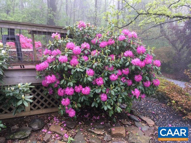 1816 CALF MOUNTAIN RD, CROZET, Virginia 22932, 2 Bedrooms Bedrooms, ,1 BathroomBathrooms,Residential,1816 CALF MOUNTAIN RD,682854 MLS # 682854 1816 CALF MOUNTAIN RD, CROZET, Virginia 22932, 2 Bedrooms Bedrooms, ,1 BathroomBathrooms,Residential,1816 CALF MOUNTAIN RD,682854 MLS # 682854