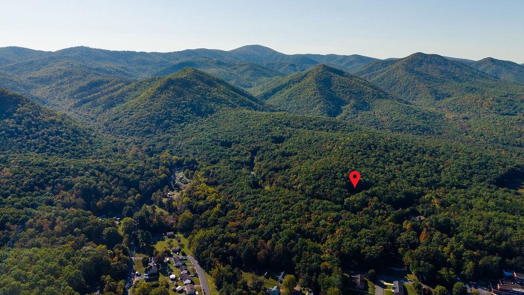 145 S WOODLAND AVE, BUENA VISTA, Virginia 24416, 3 Bedrooms Bedrooms, ,3 BathroomsBathrooms,Residential,145 S WOODLAND AVE,682868 MLS # 682868