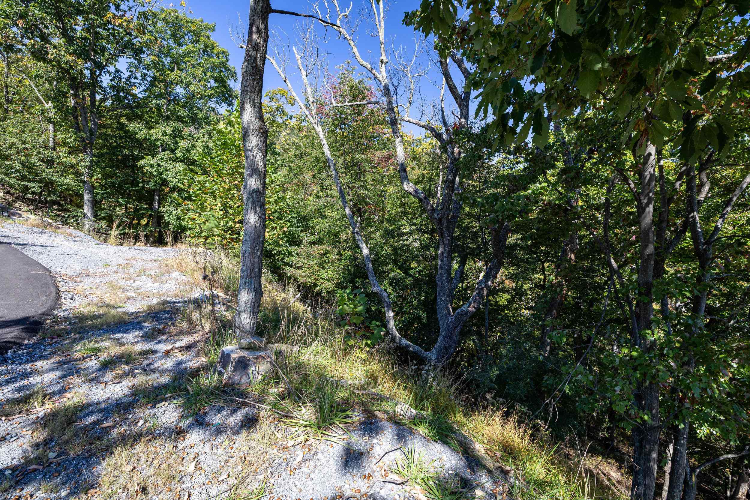 Lot 846A WILSON WAY, MCGAHEYSVILLE, Virginia 22840, ,Land,Lot 846A WILSON WAY,682889 MLS # 682889