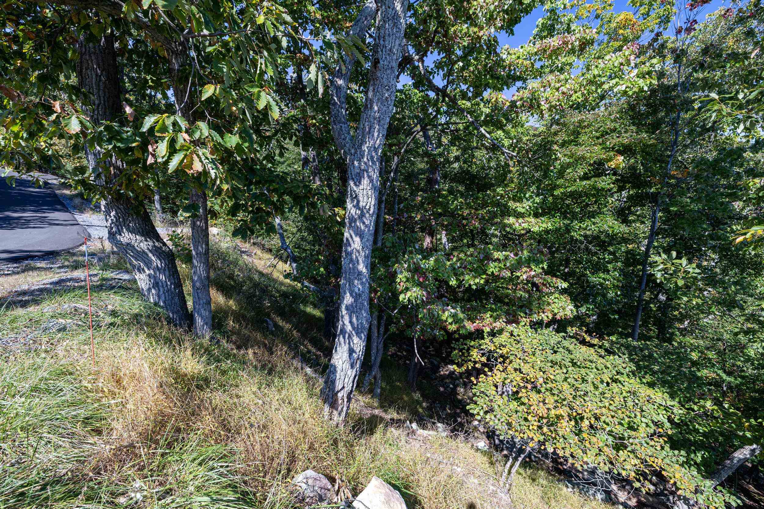 Lot 846A WILSON WAY, MCGAHEYSVILLE, Virginia 22840, ,Land,Lot 846A WILSON WAY,682889 MLS # 682889