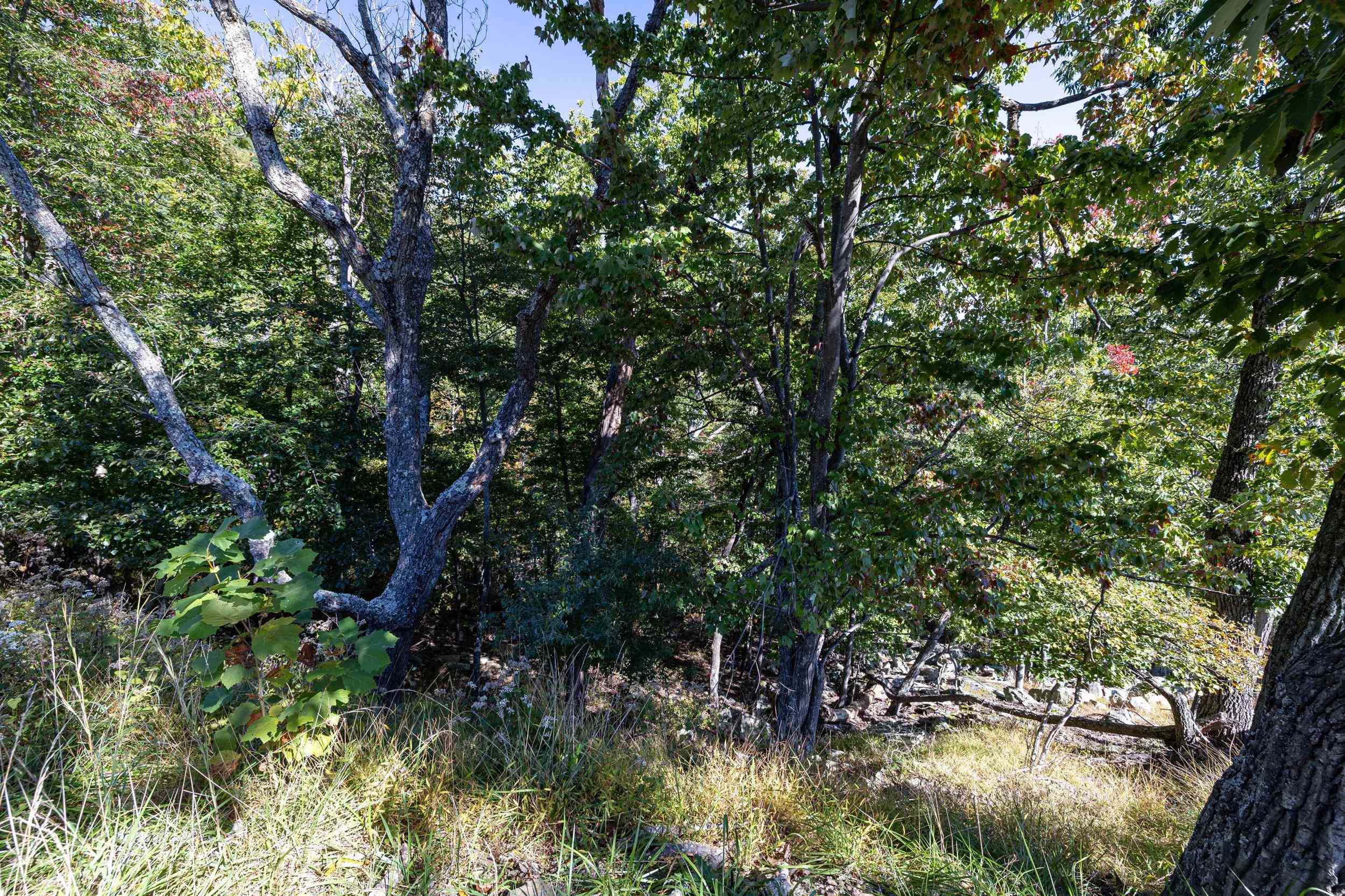 Lot 846A WILSON WAY, MCGAHEYSVILLE, Virginia 22840, ,Land,Lot 846A WILSON WAY,682889 MLS # 682889