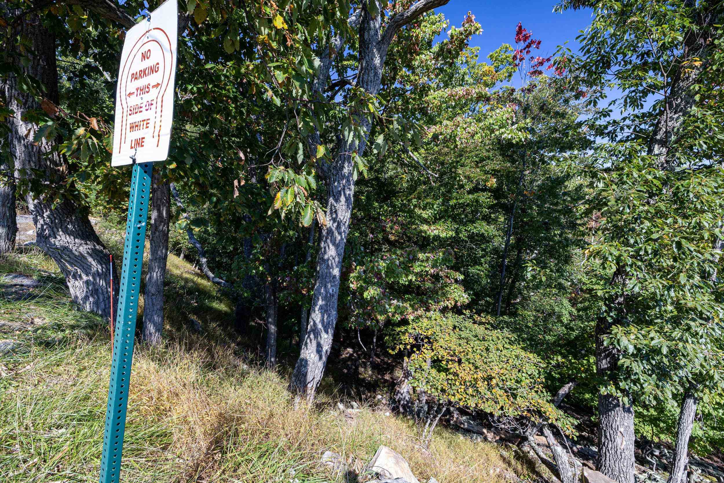 Lot 846A WILSON WAY, MCGAHEYSVILLE, Virginia 22840, ,Land,Lot 846A WILSON WAY,682889 MLS # 682889