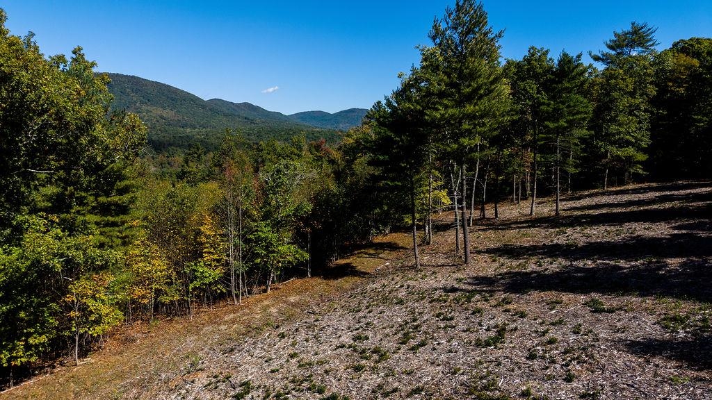 tbd OWL LN, LEXINGTON, Virginia 24450, ,Land,tbd OWL LN,682903 MLS # 682903 tbd OWL LN, LEXINGTON, Virginia 24450, ,Land,tbd OWL LN,682903 MLS # 682903