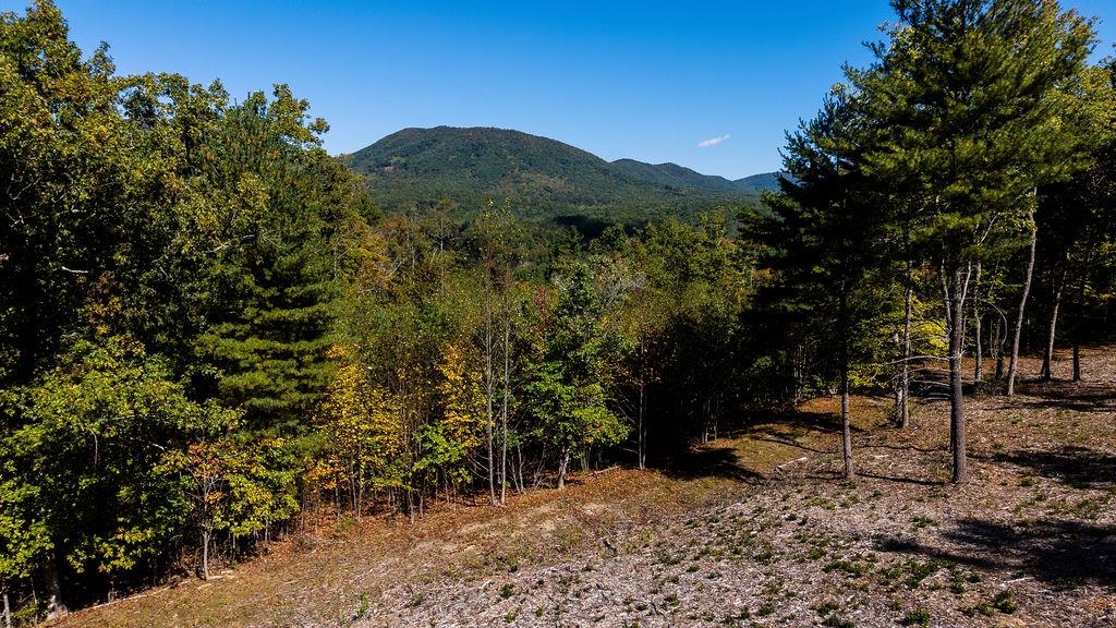 tbd OWL LN, LEXINGTON, Virginia 24450, ,Land,tbd OWL LN,682903 MLS # 682903 tbd OWL LN, LEXINGTON, Virginia 24450, ,Land,tbd OWL LN,682903 MLS # 682903